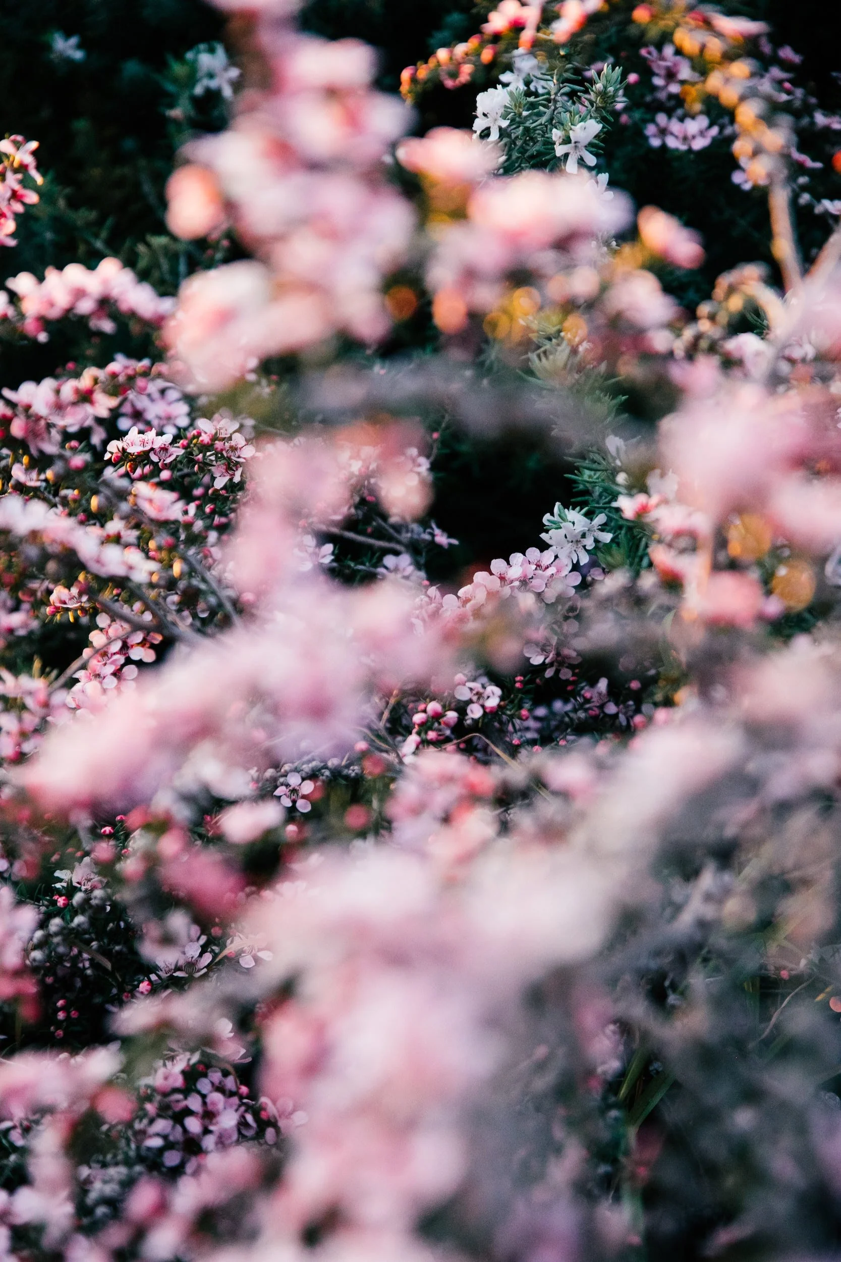 The Ultimate Guide to Keeping Your Flowers Fresh Longer