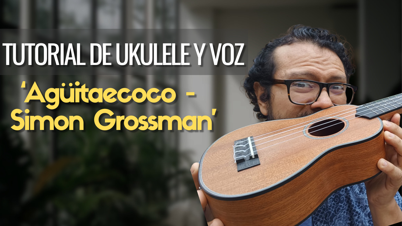 Tutorial Agüitaecoco - Simon Gorssman