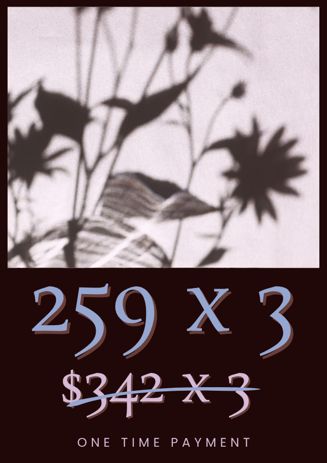 Early bird payment plan is 3 payments of $259, instead of 3 payments of $342.