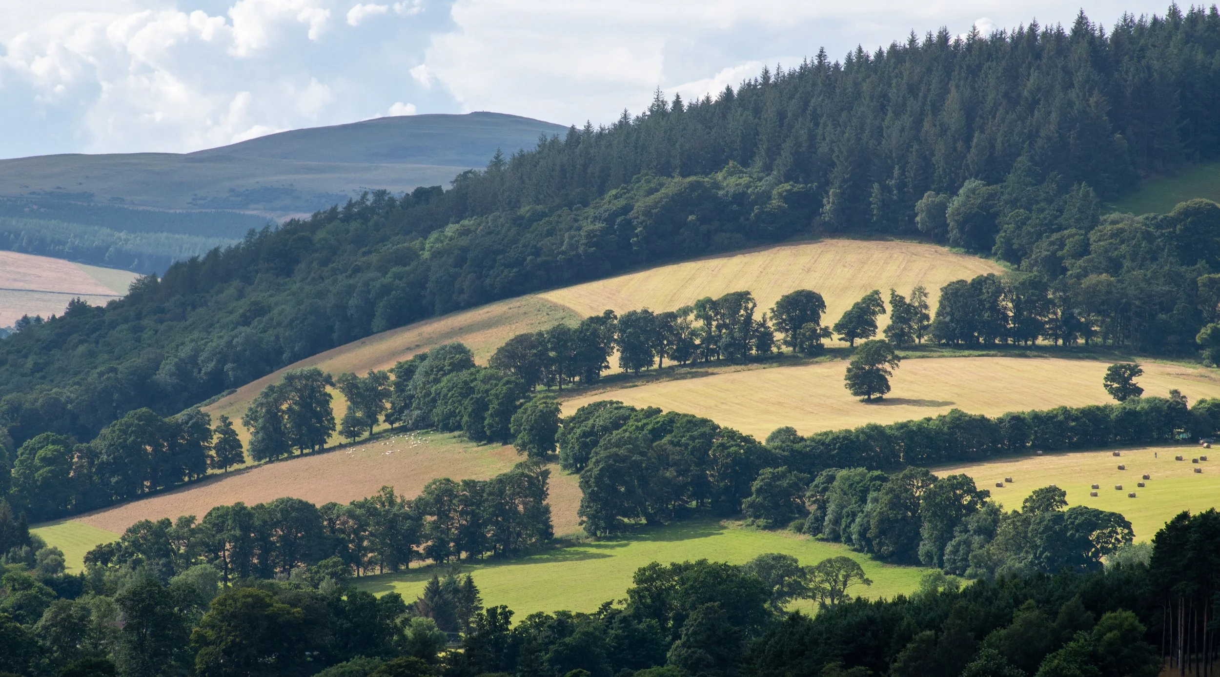 Glentress mountain bike trails
