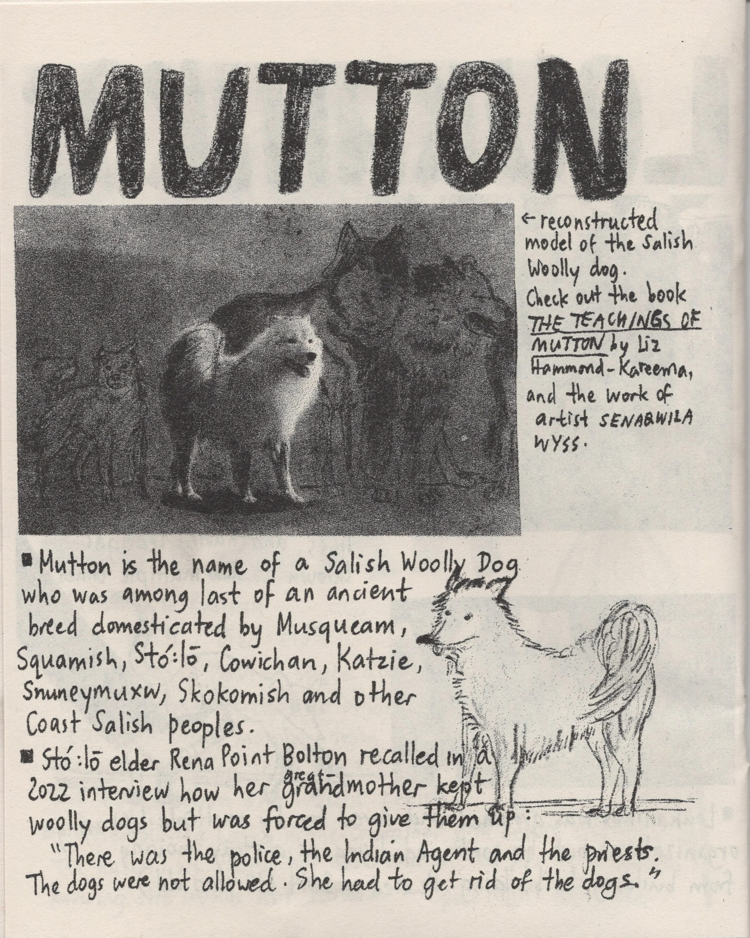 Dog zine scan 4_006.JPG
