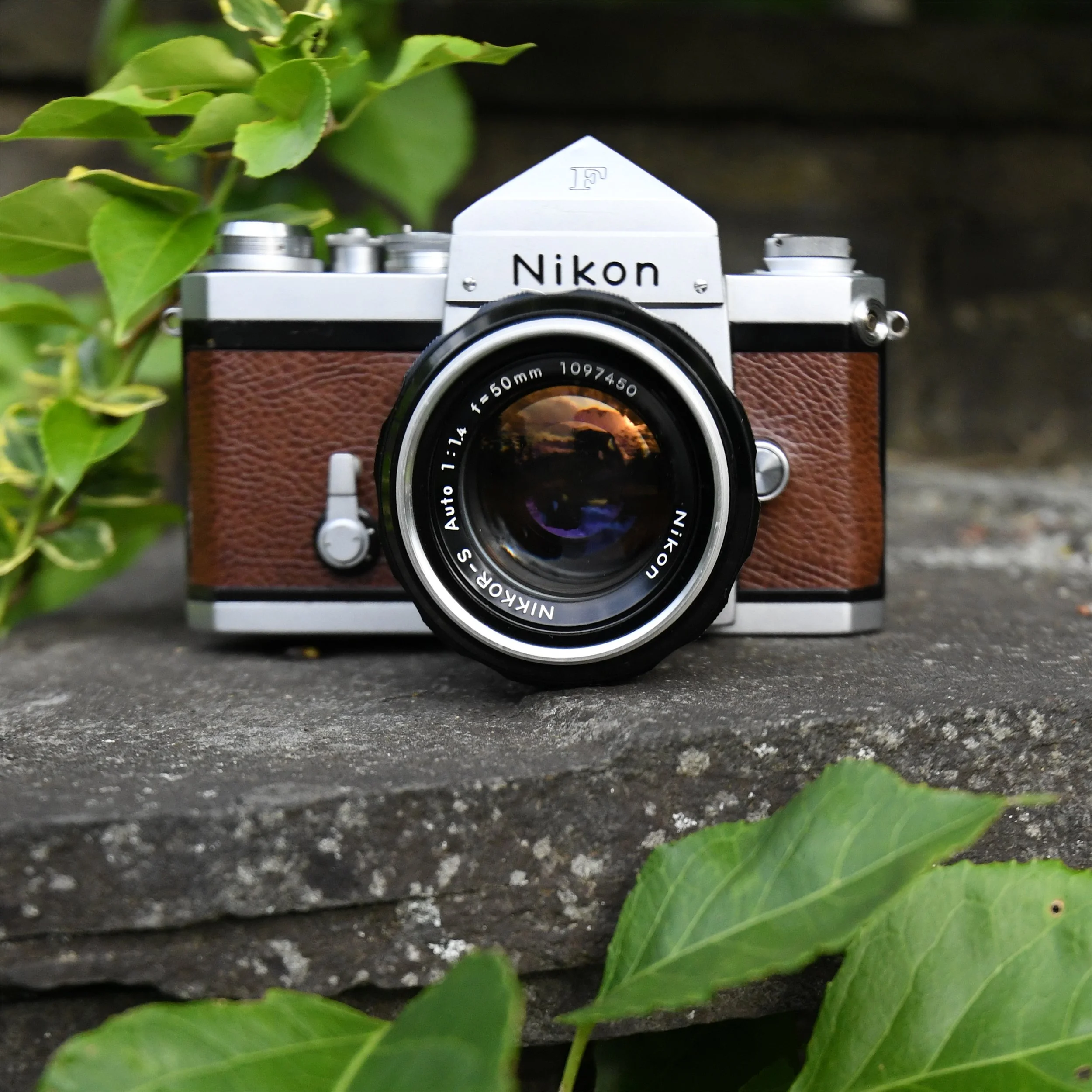 Nikon F
