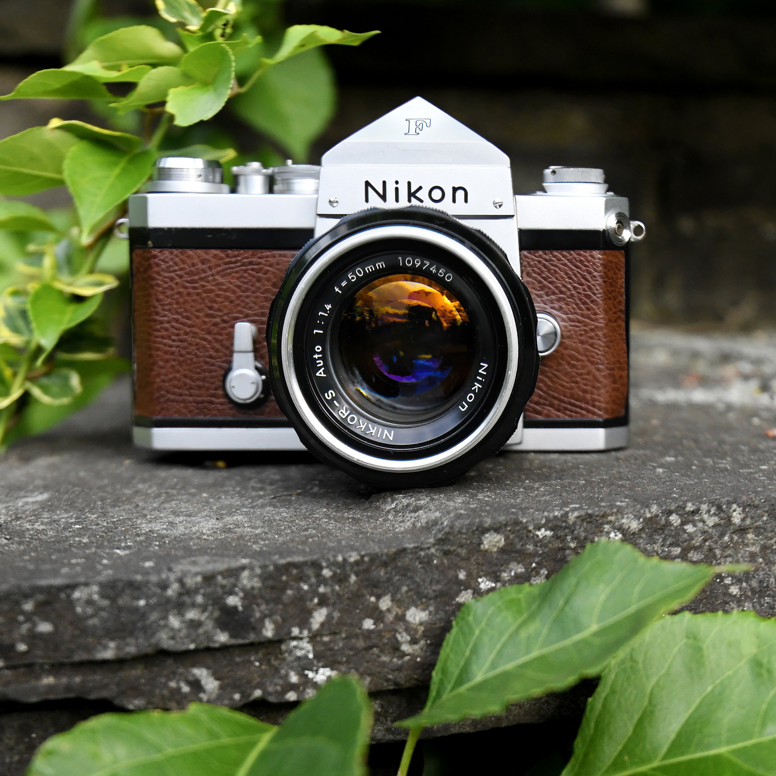 Nikon F
