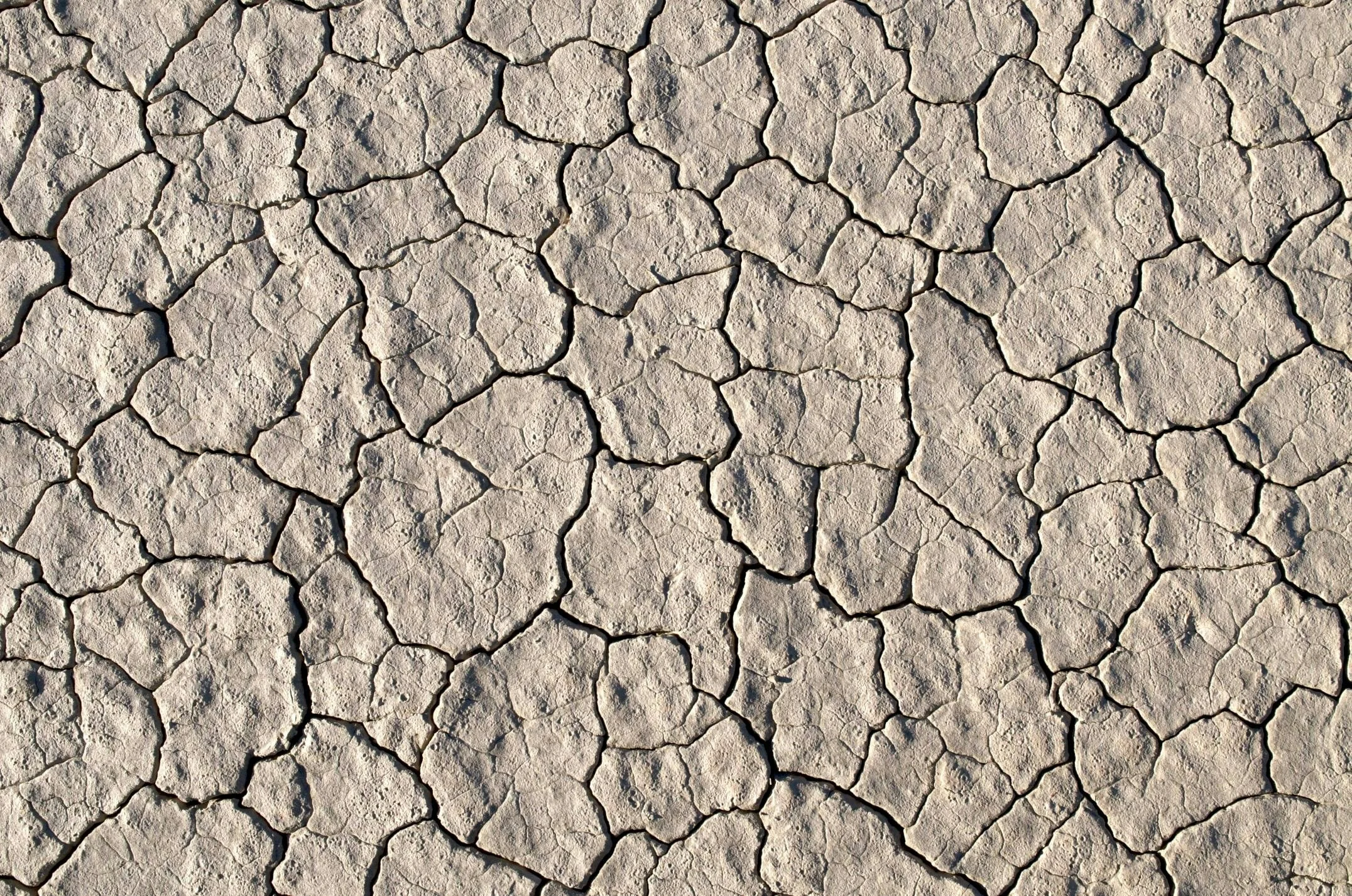 How Do I Stop Important Tasks Falling Through the Cracks in My Business?