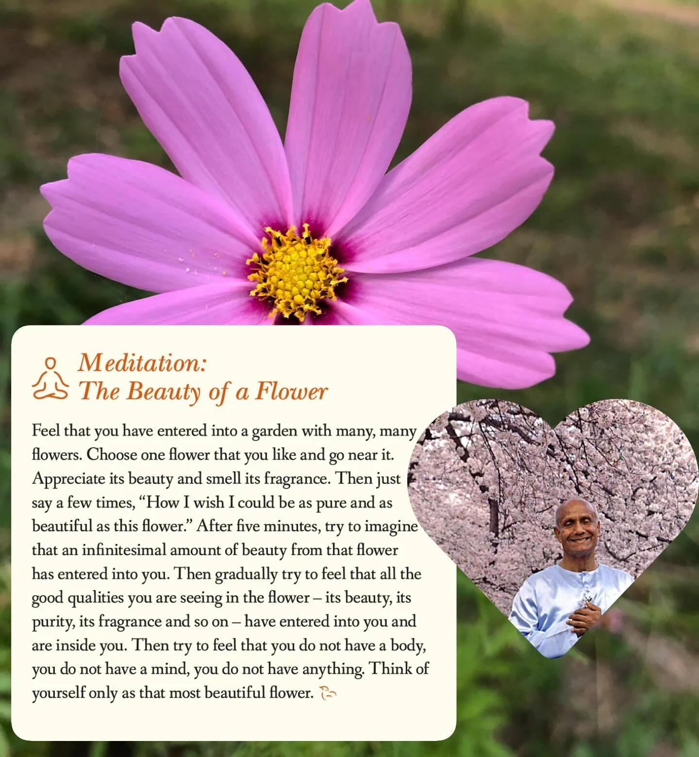 Meditation from &ldquo;Listen to Nature&rdquo; by Sri Chinmoy 

How sweet is the breath 
Of the flower. 
How illumining is the sacrifice 
Of the fragrance.

From Sri Chinmoy,Twenty-Seven Thousand Aspiration-Plants,21802

#srichinmoy #srichinmoymedita