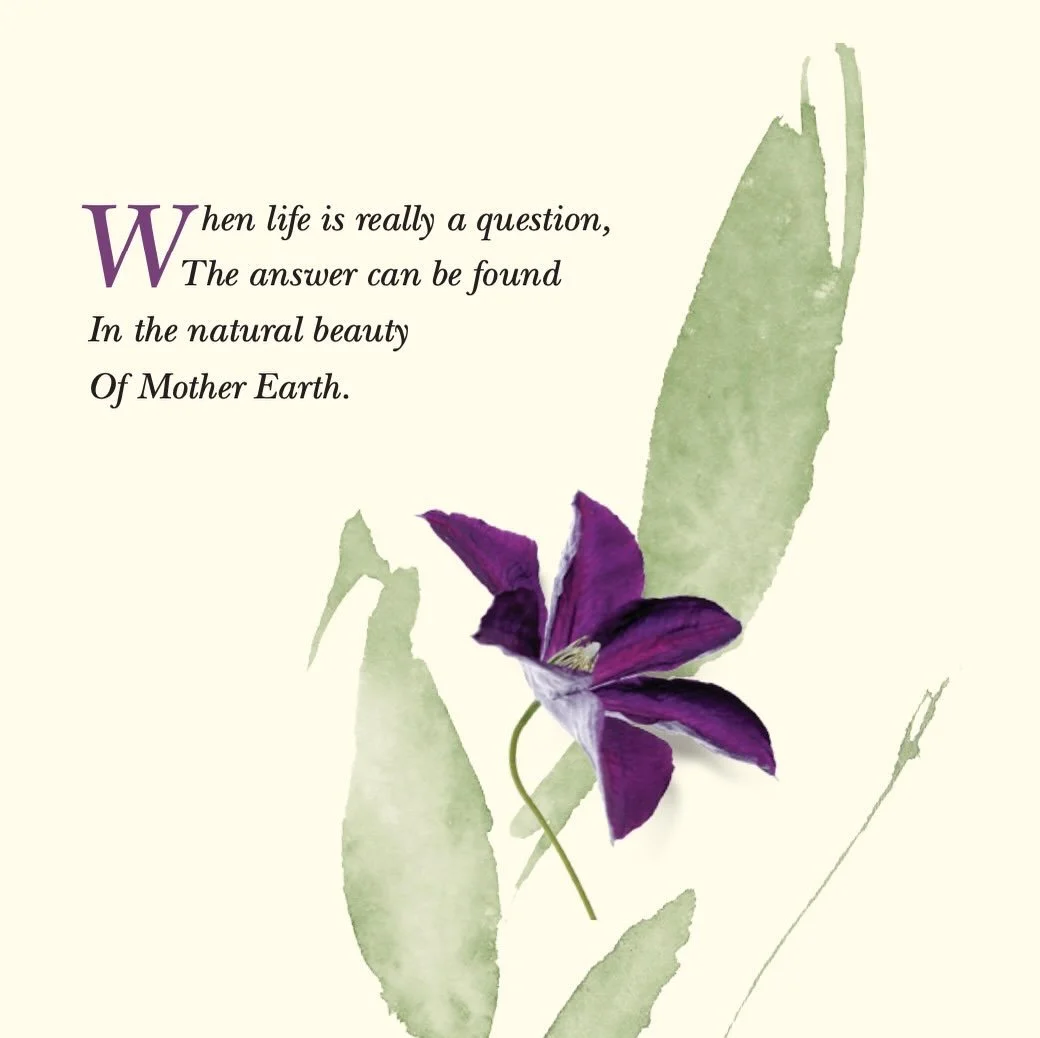 Happy Earth Day from Heart-Light Distributors! #earthday 🩵🌍☀️ #srichinmoyquotes from &ldquo;Listen to Nature: Living in Harmony with the Earth&rdquo;