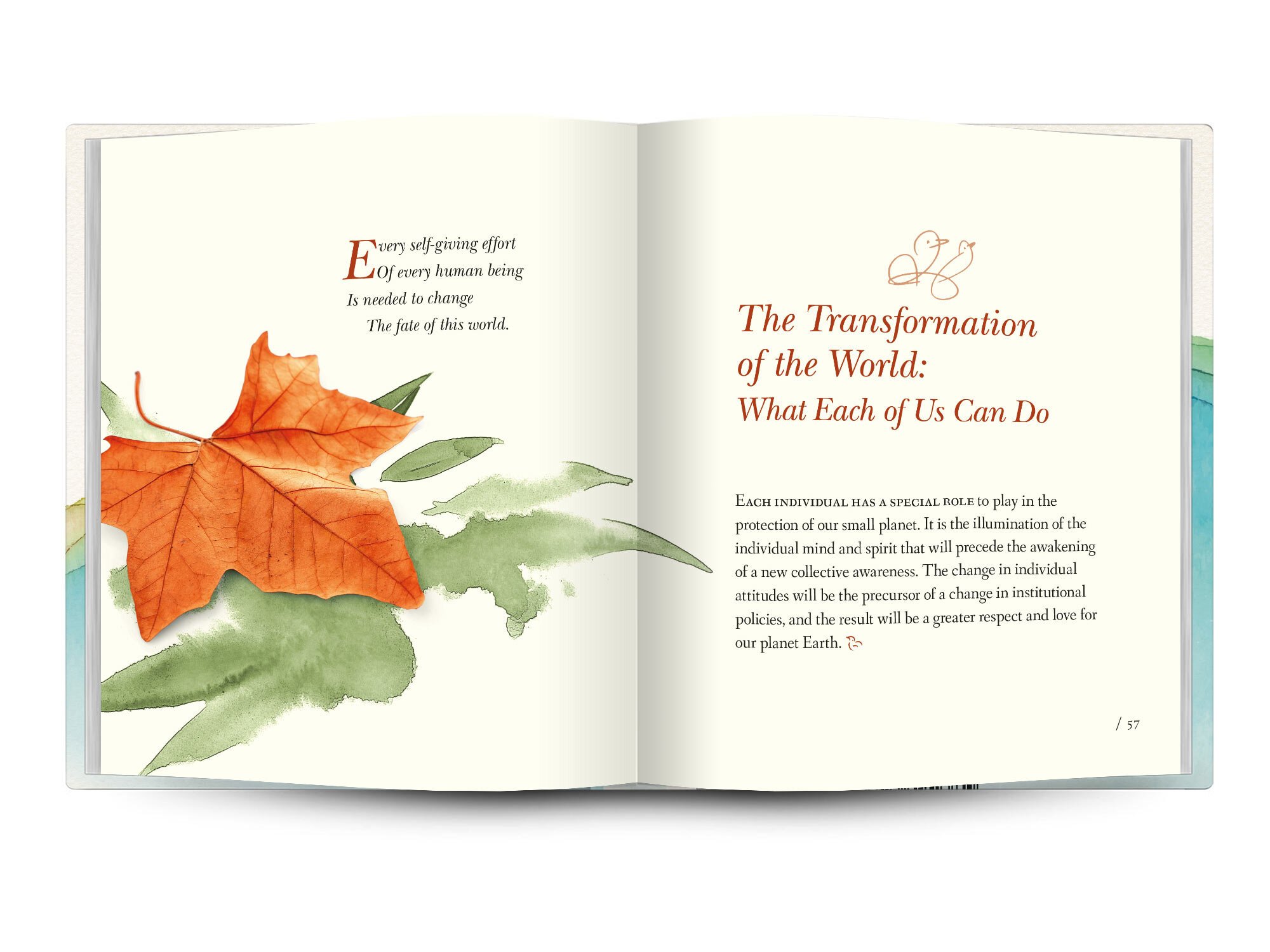 Page37Transformation (1).jpeg