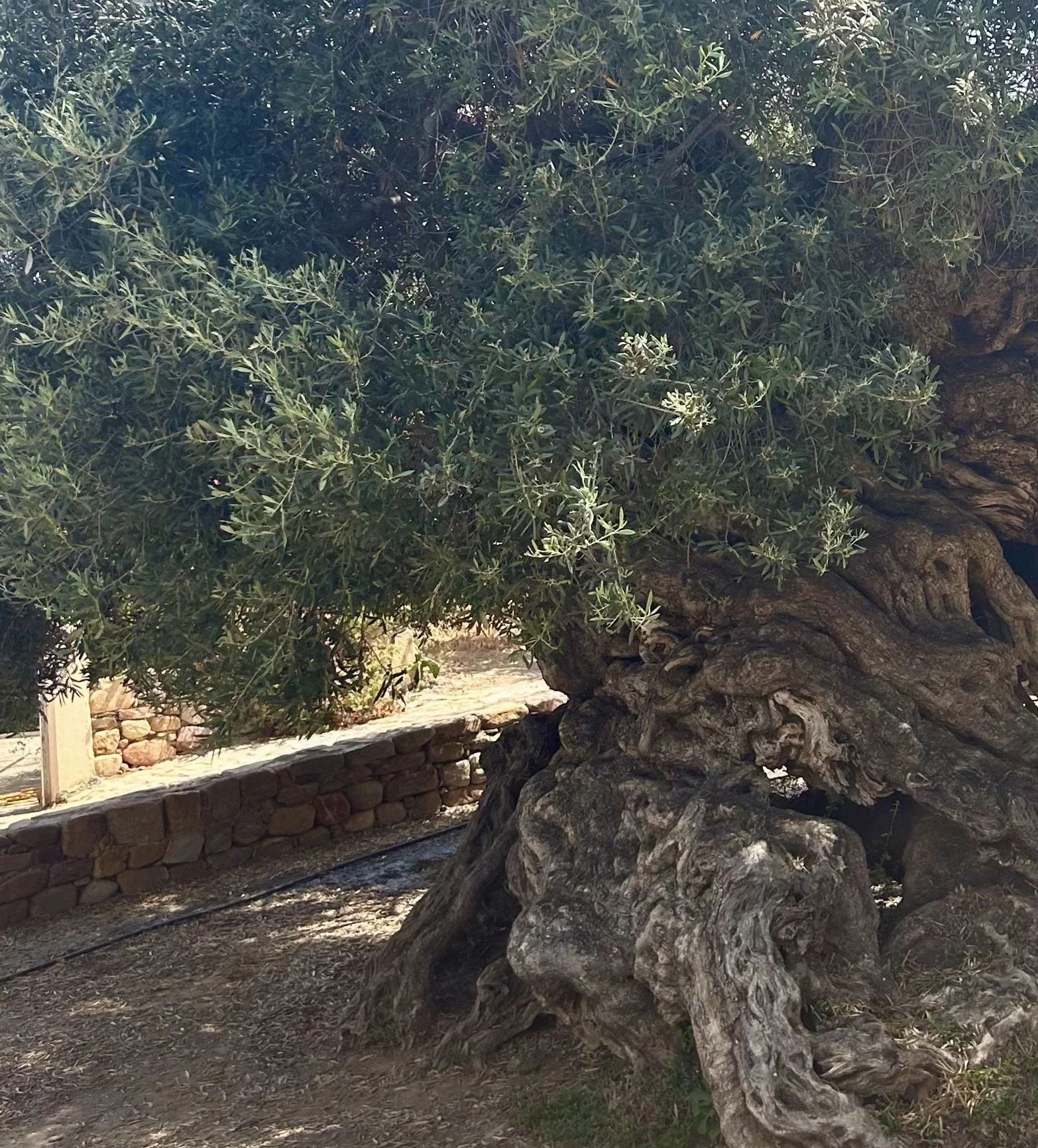 Natural beauty Crete