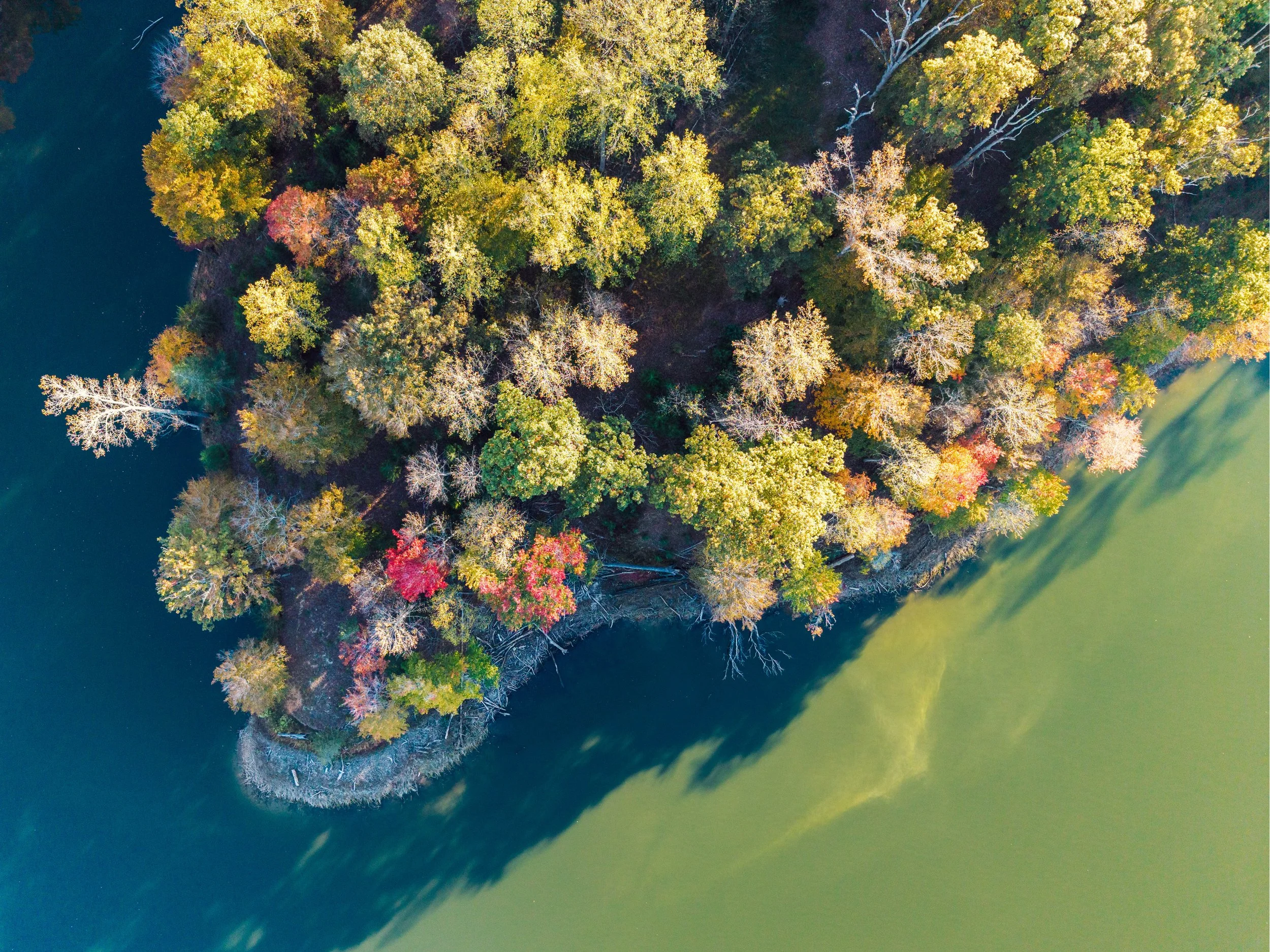 DJI_20251018165905_0075_D-HDR.jpg