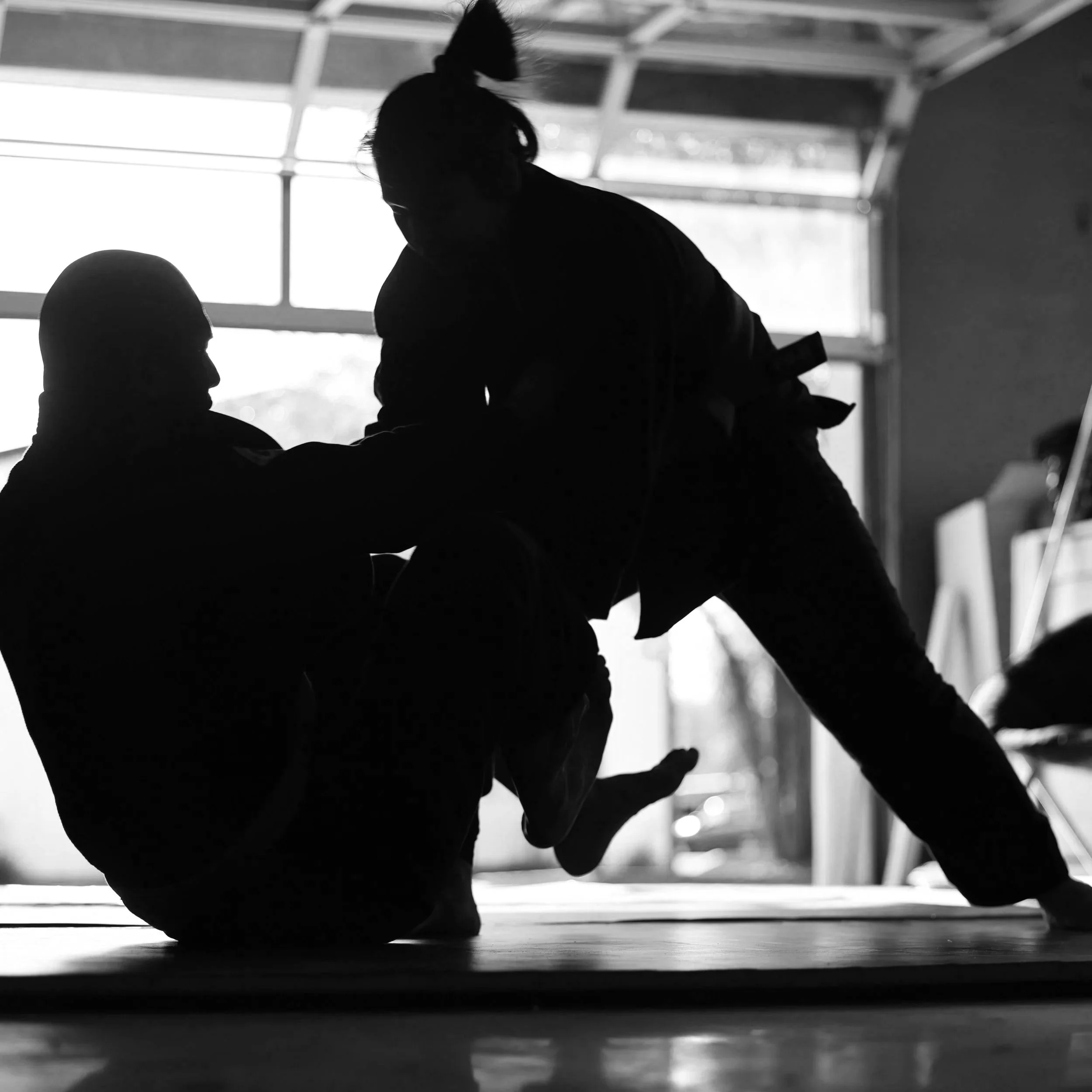 Shadow+BJJ+-+Ros.jpg