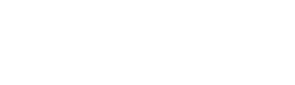 Tarika Palmieri