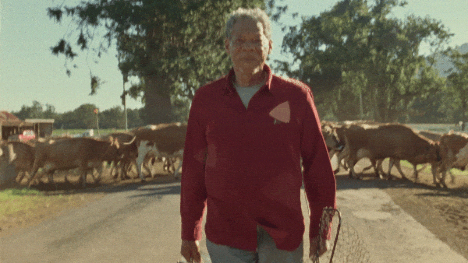 Andy Golledge - Run To The River