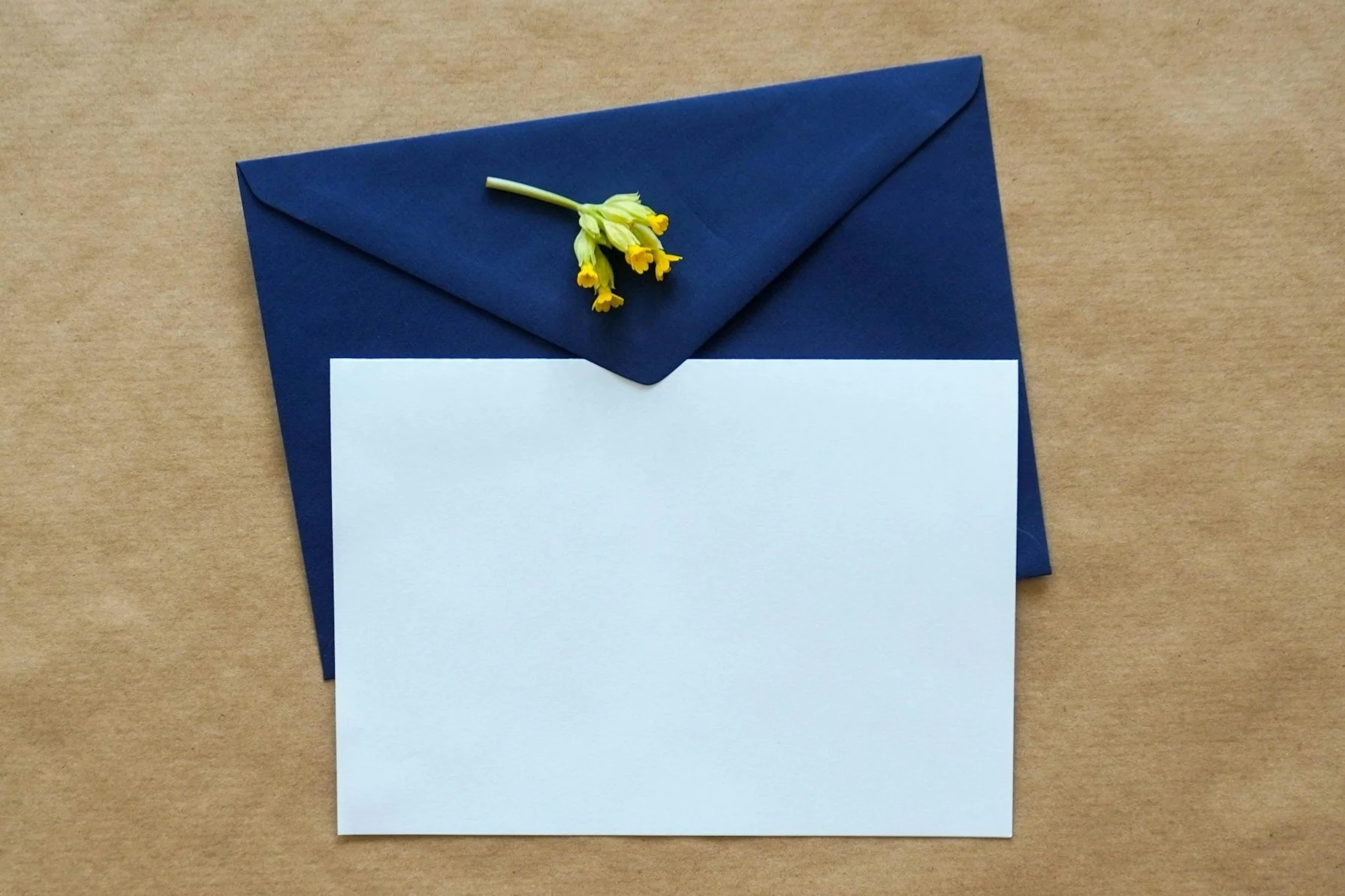 Image of a blue envelope and a blank paper.