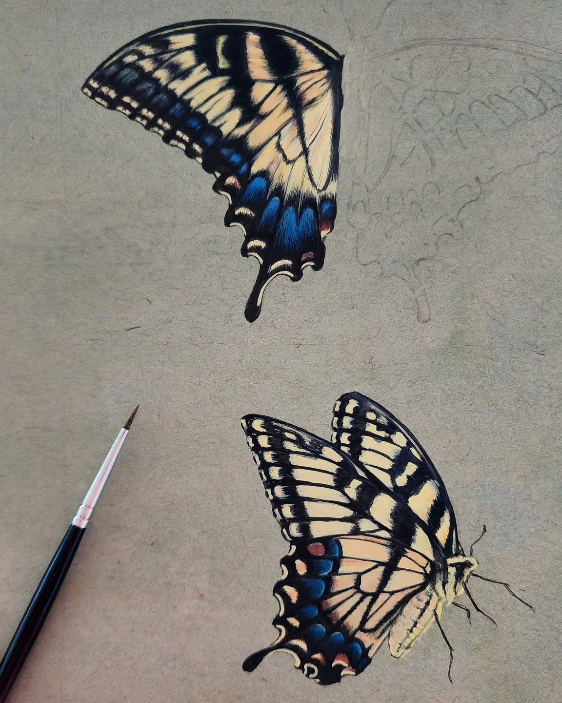 Lately I've begun experimenting with toned paper and gouache, and I'm loving how the paint sits on the surface of the paper. I think it's the perfect combo for these swallowtail butterflies. More to come ‐ follow along to see how they'll be incorpora