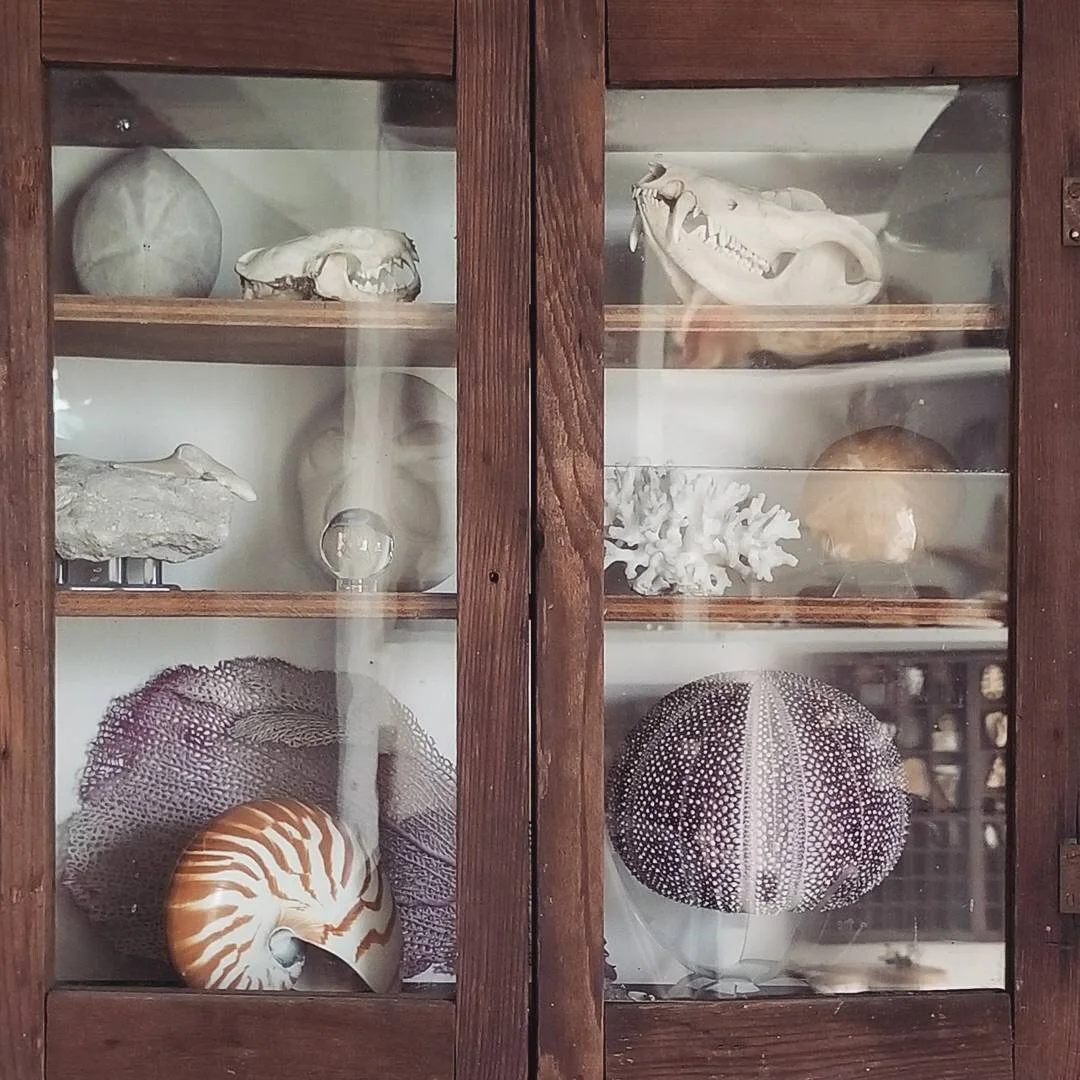collections of things