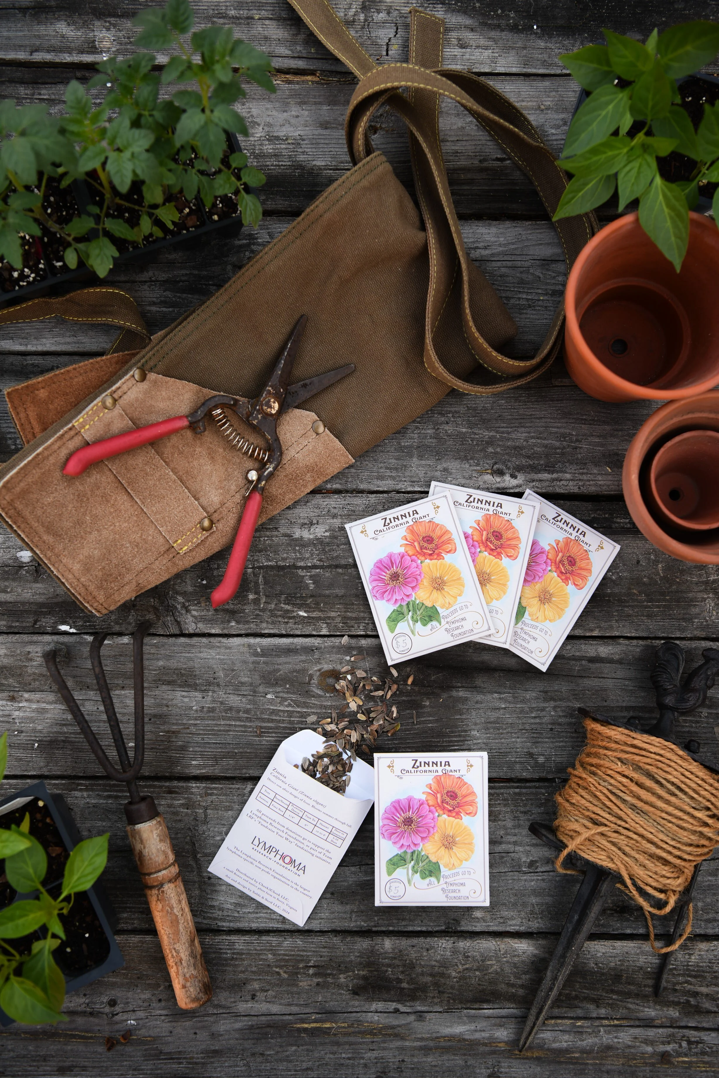 Flat lay_processed_by_imagy.jpg