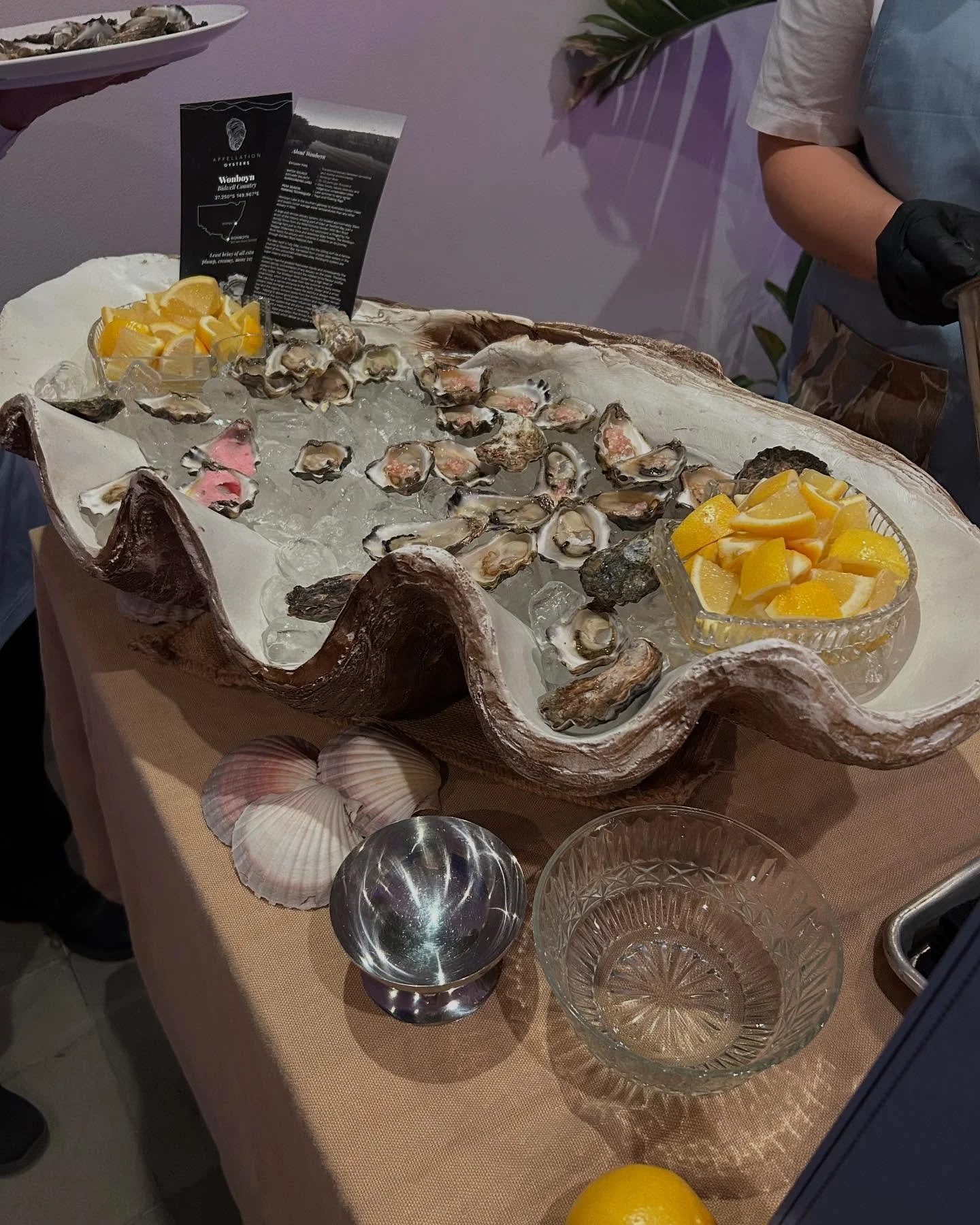 Fun evening great food drinks and design at Future Future event 69 O&rsquo;Riordan st collective tonight 🥳
