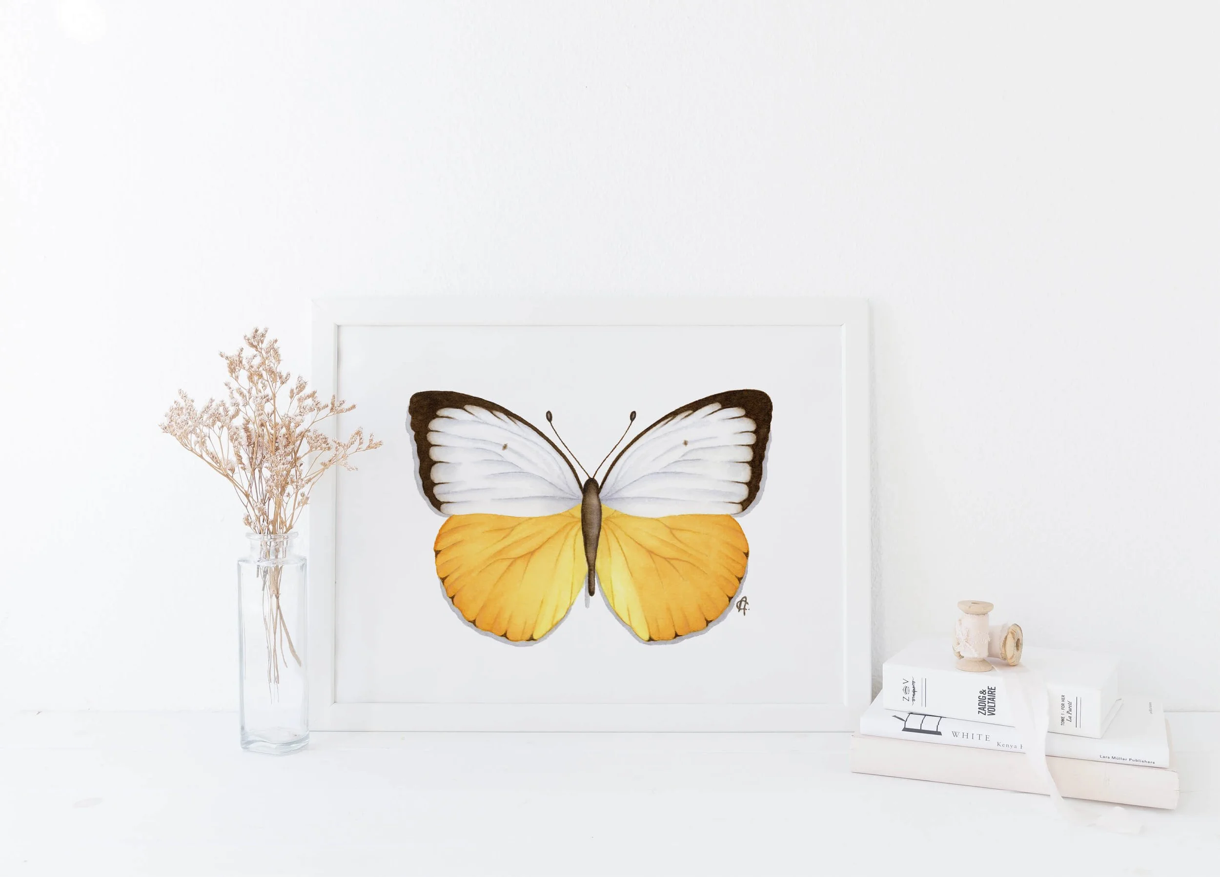 Catopsilia scylla butterfly watercolour painting.jpg