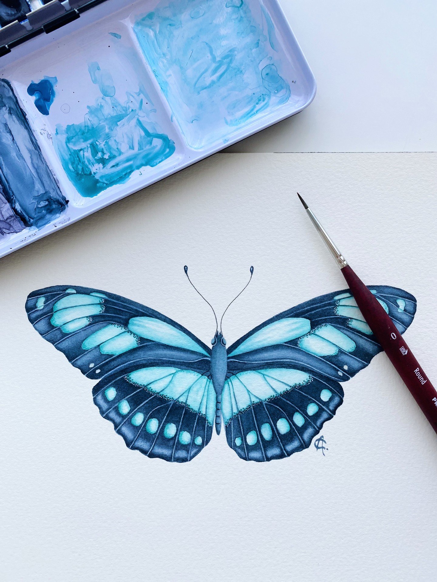 My finished painting of the Philaethria dido, also known as the Dido Longwing or Scarce Bamboo Page. Swipe to see how this butterfly came to life in watercolour, layer by layer.

Butterflies are often believed to be messengers from the spiritual worl