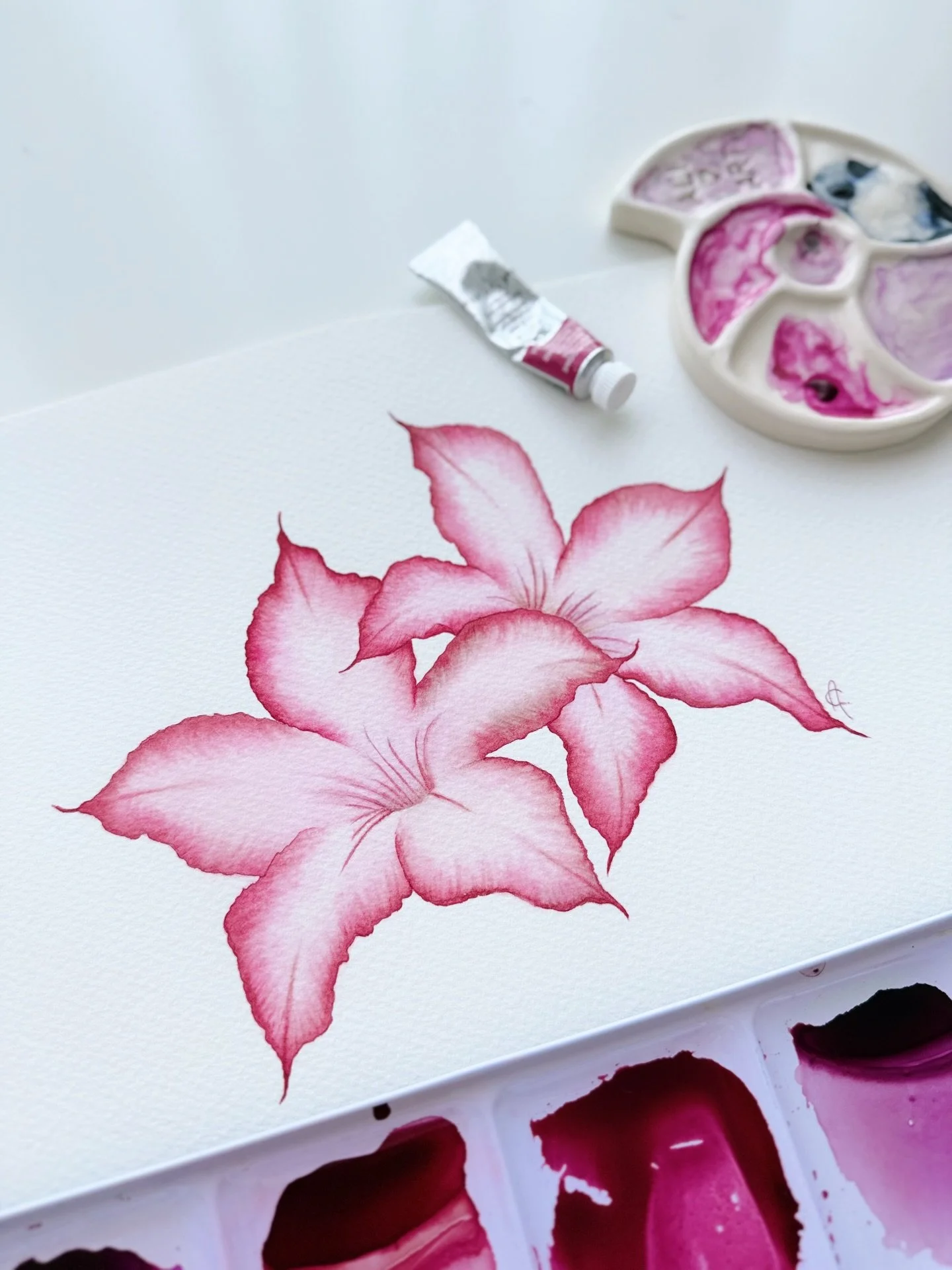 Desert rose in watercolour, inspired by the blooms that brighten my walks here in Abu Dhabi 🌸
Native to arid lands from Africa to the Arabian Peninsula, this flower feels perfectly at home in the desert sun&hellip; and so do I 😊☀️

#uaeflowers #wat