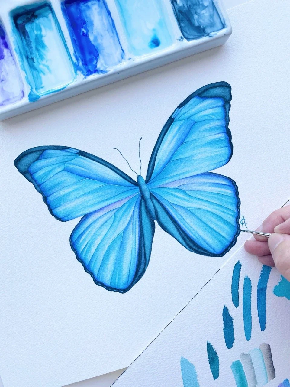 Blue Morpho Painting at Sakku Art