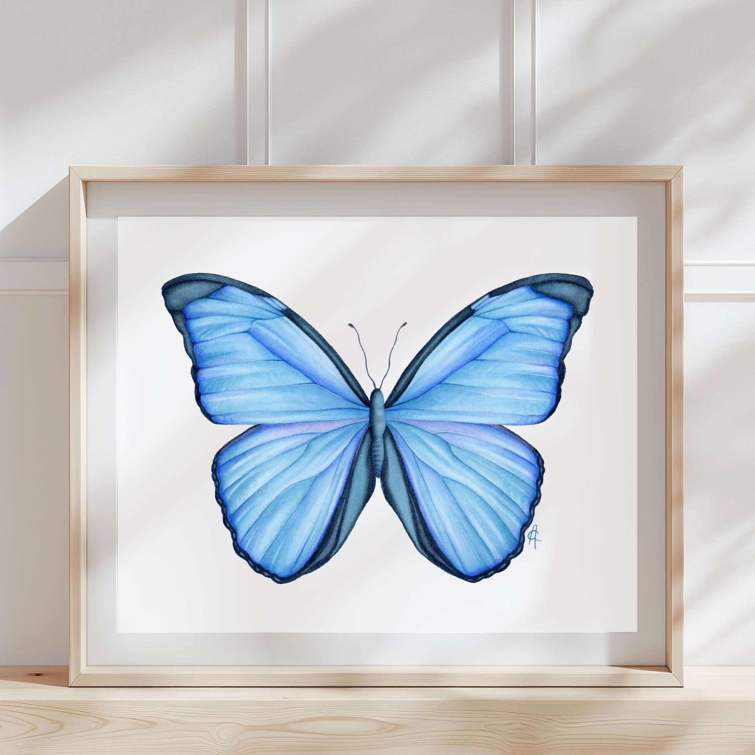 Alma Colours_Blue Morpho Watercolour Painting.jpeg