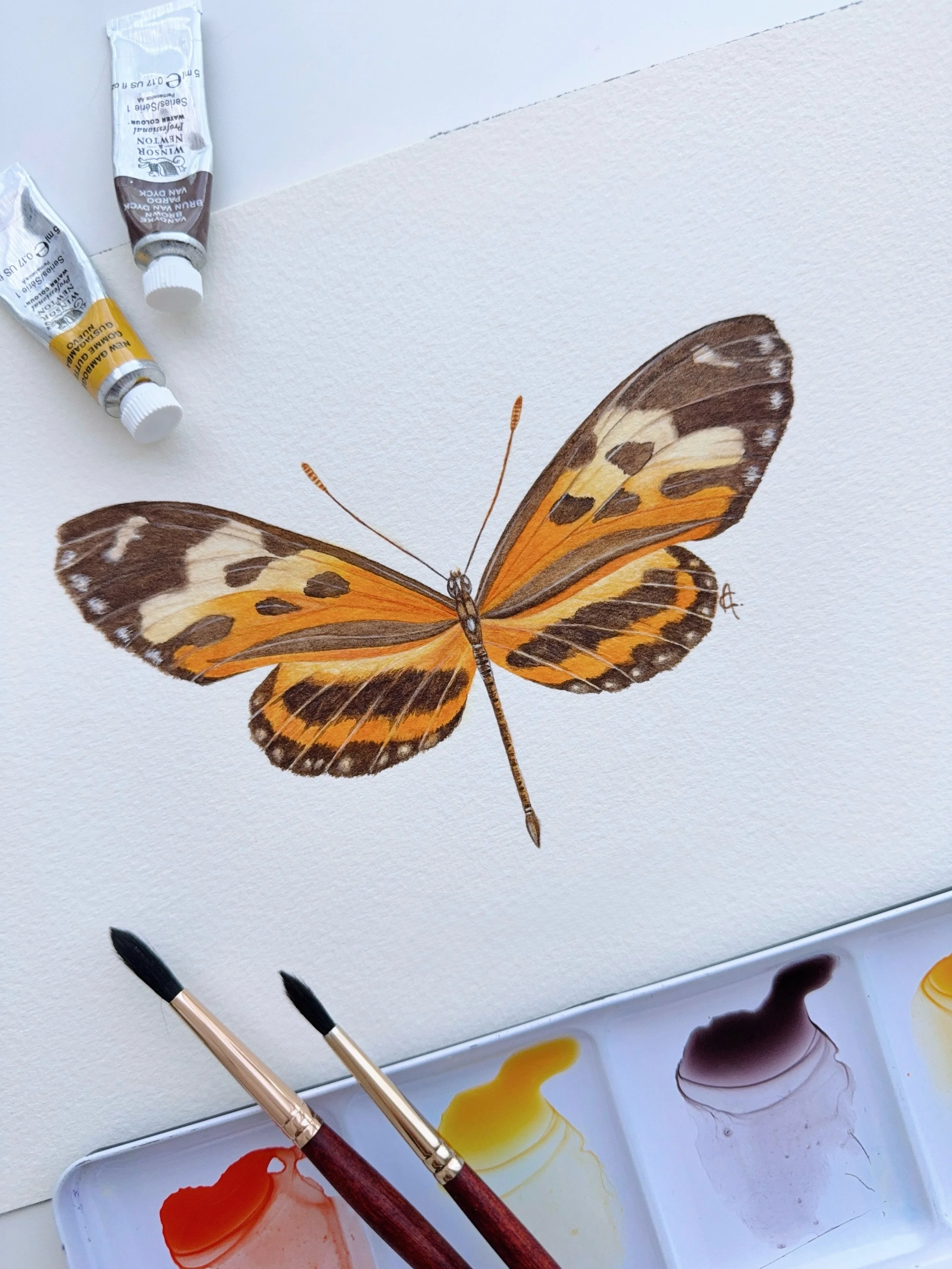 Ever heard of Mechanitis polymnia? 

Also called the Orange-spotted Tiger Clearwing butterfly. Native to Central and South America, this beauty isn&rsquo;t just a pretty pair of wings. The caterpillars feed on poisonous plants, storing toxins that ma