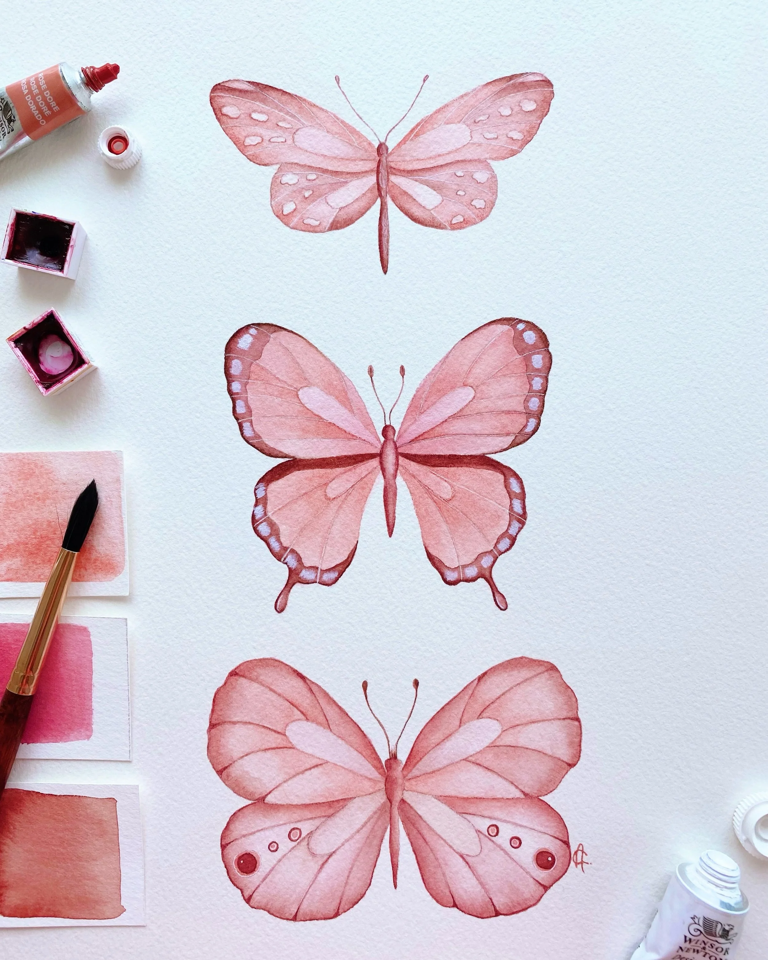 Three butterflies that don&rsquo;t exist in any guidebook 🦋

No reference photos this time. Just colours and a little imagination.

Have a lovely Sunday ✨