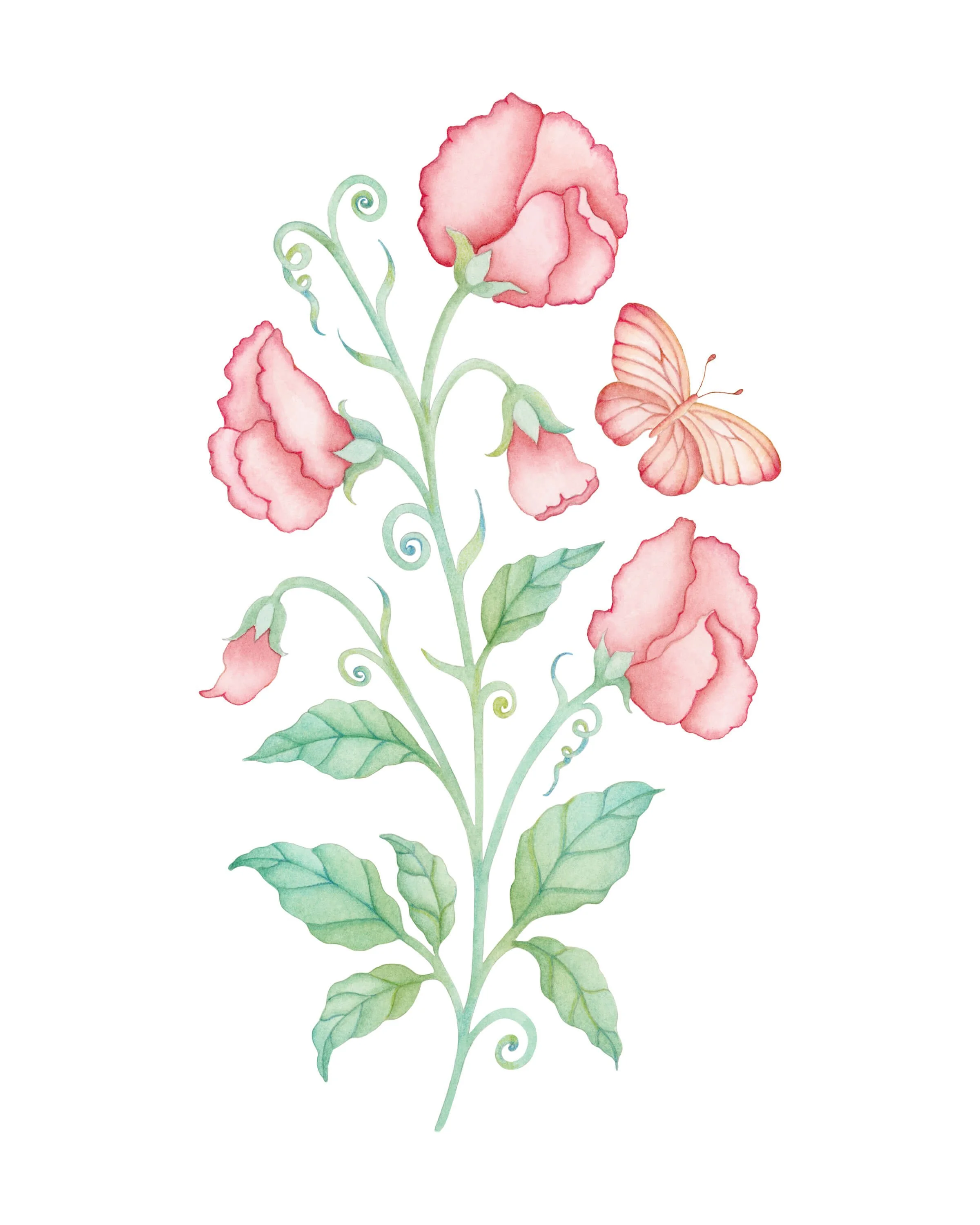 The Friendship Garden - Watercolour on paper - 9x12 inch