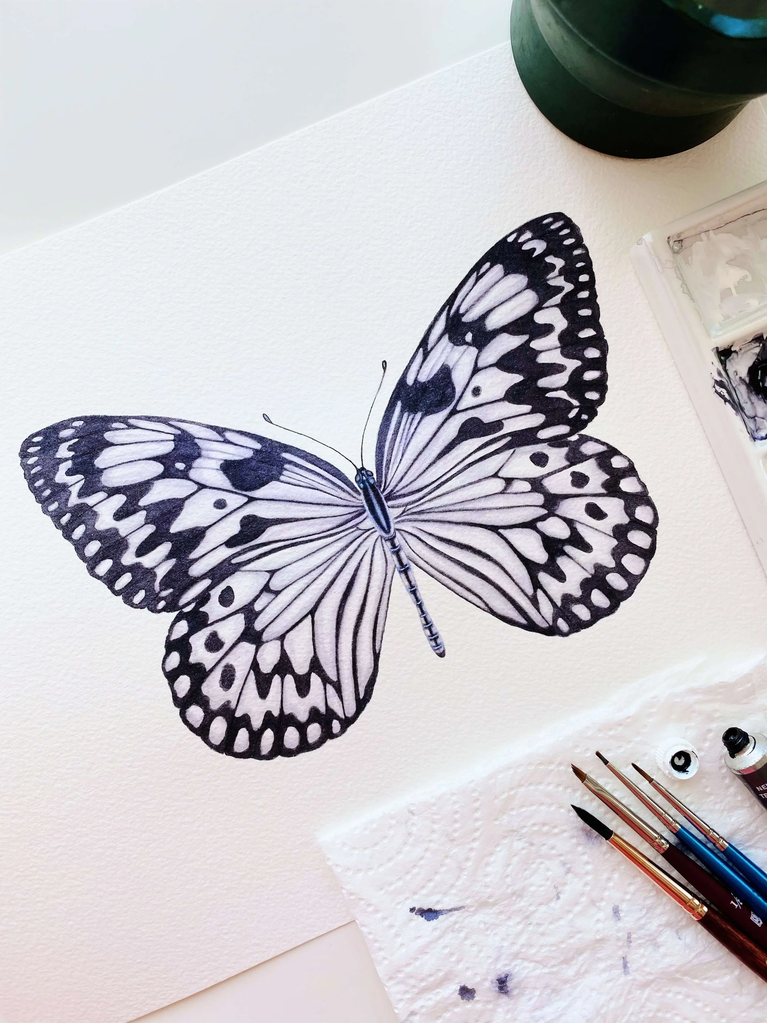 The Paper Kite Butterfly - Alma Colours.jpg