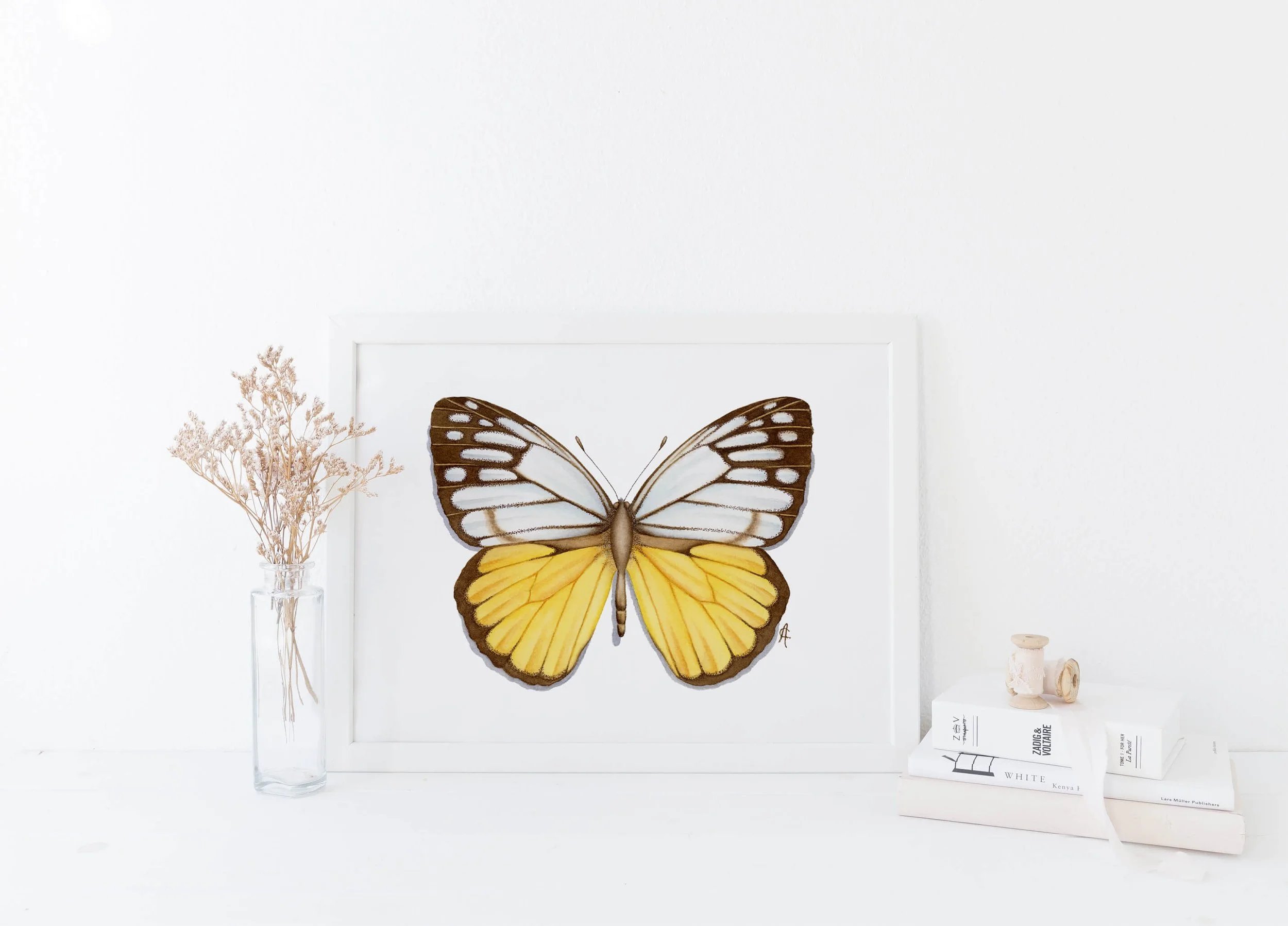 Cepora aspasia butterfly watercolour painting framed.jpg