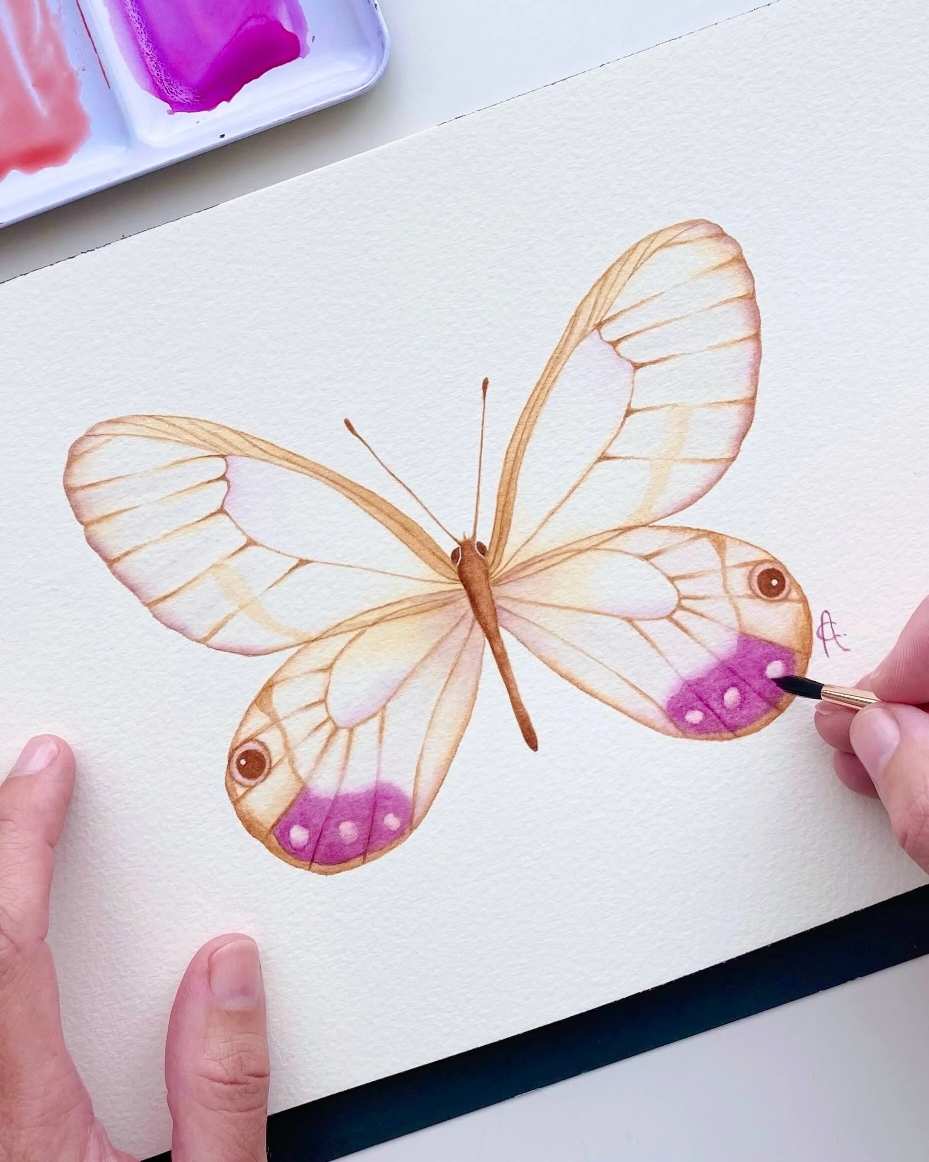 Alma Colours Art the Esmeralda butterfly original watercolour painting.jpeg