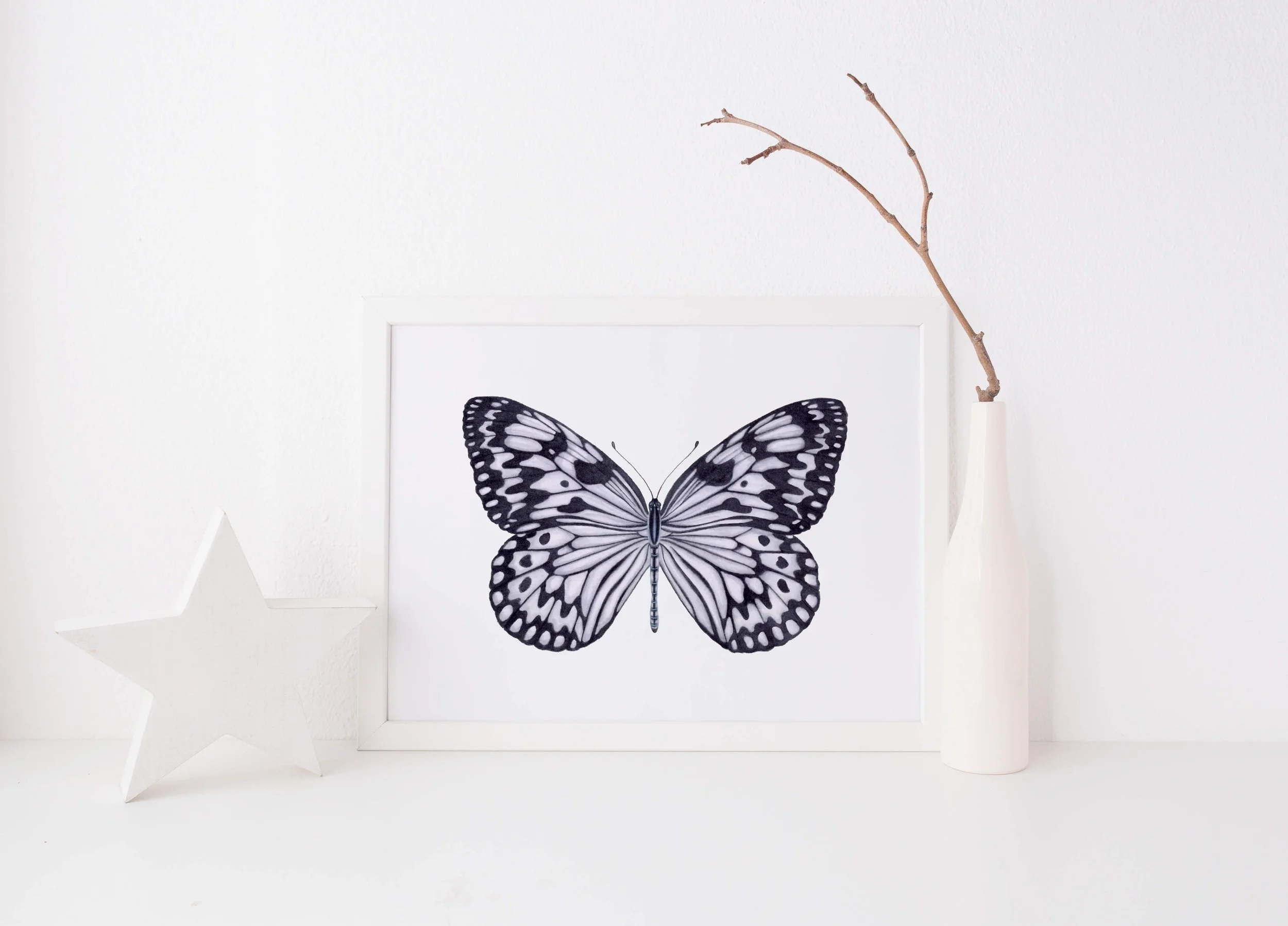The Paper Kite Butterfly