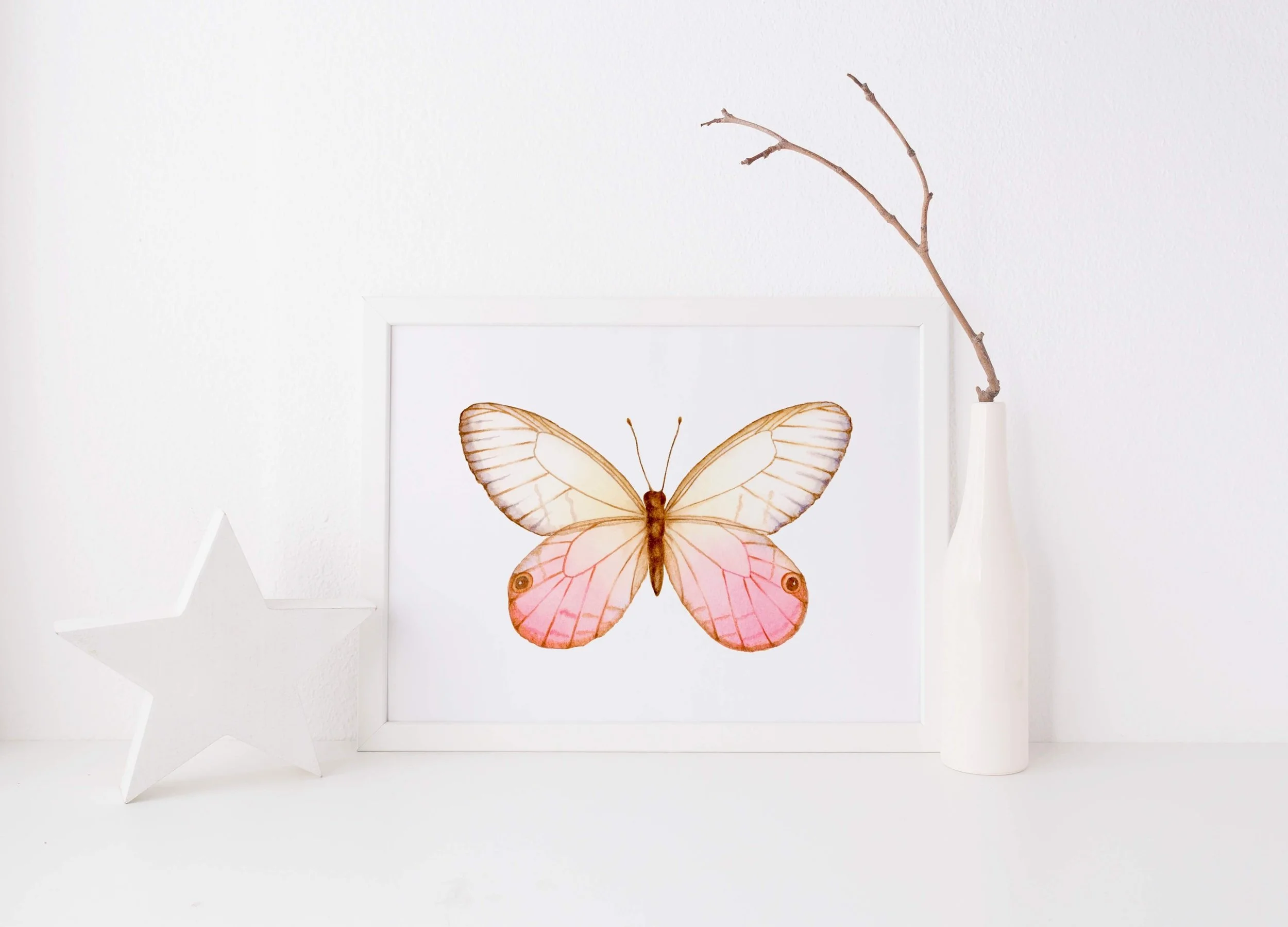 The Blushing Phantom butterfly