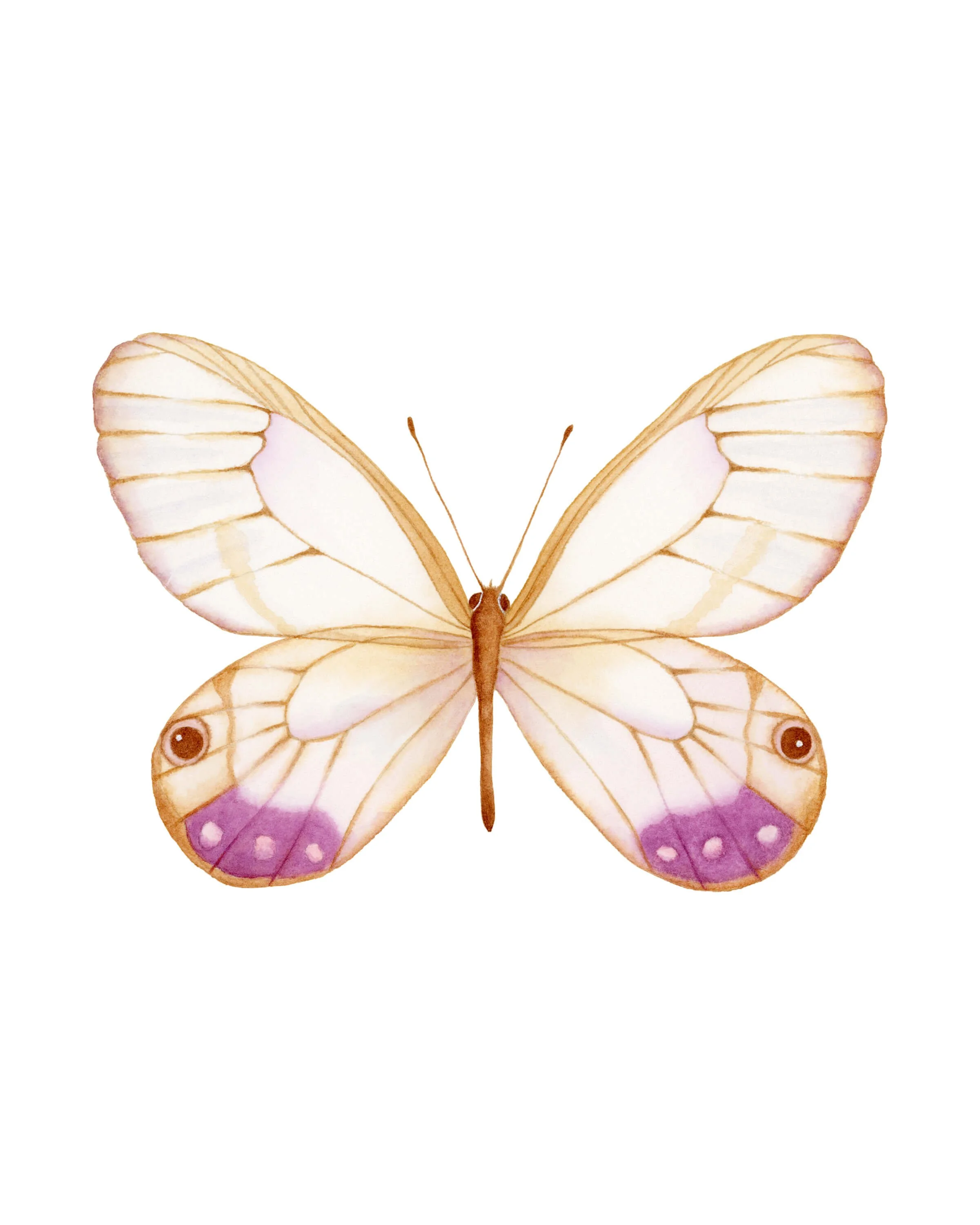 The Esmeralda Butterfly - Watercolour on paper - 7x10 inch