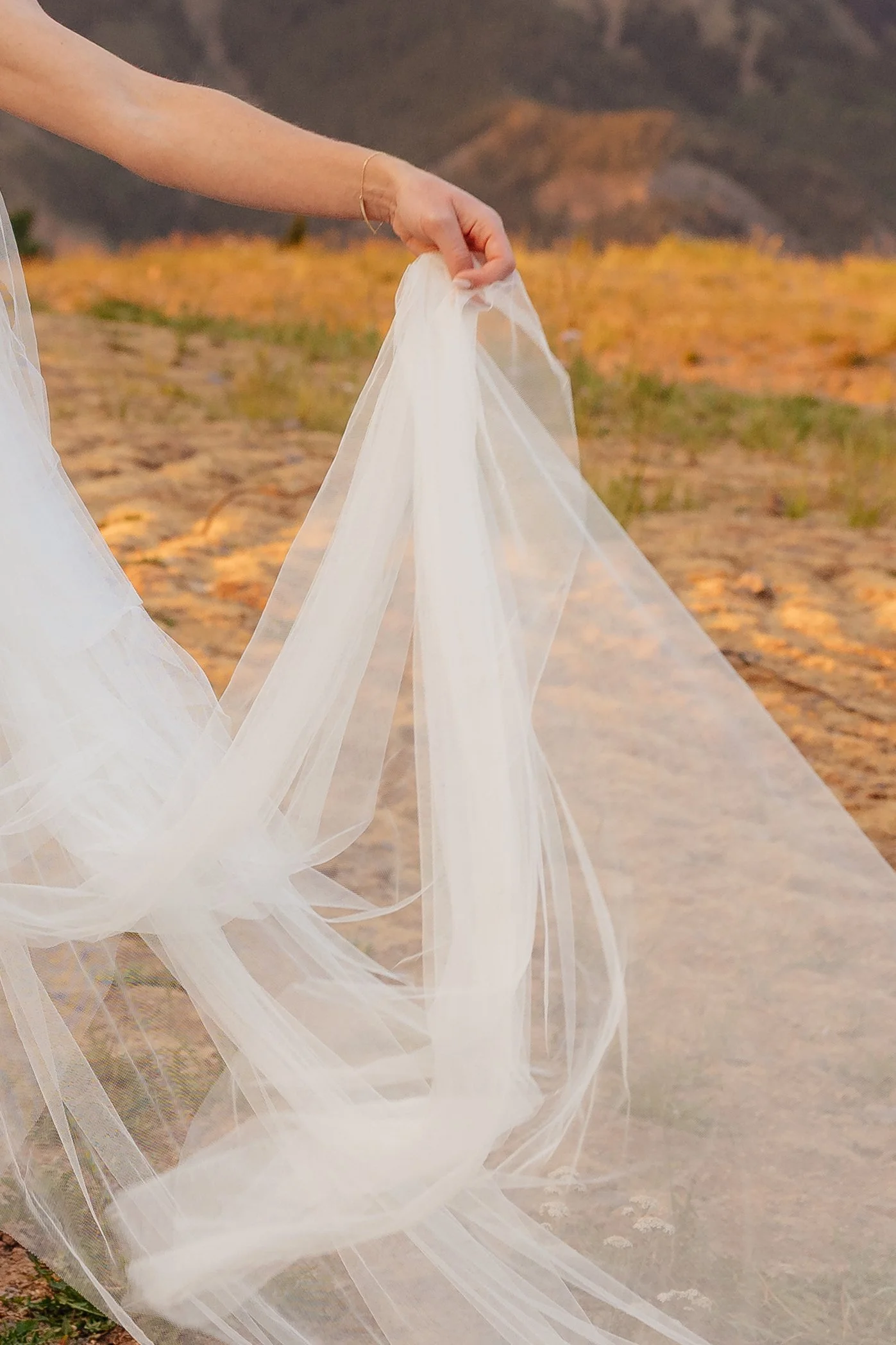 4A2A5160.3.jpg