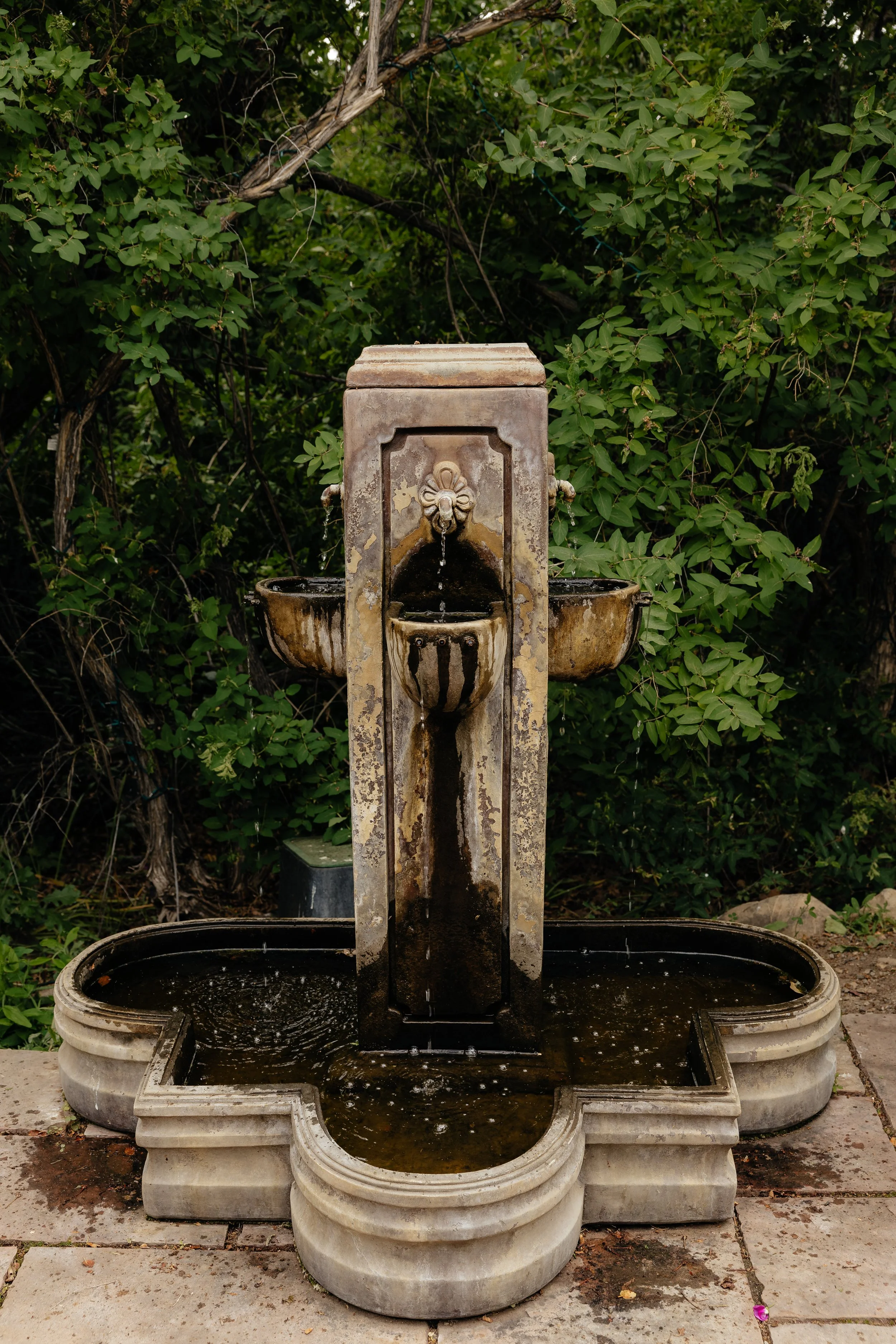 4A2A5093.jpg