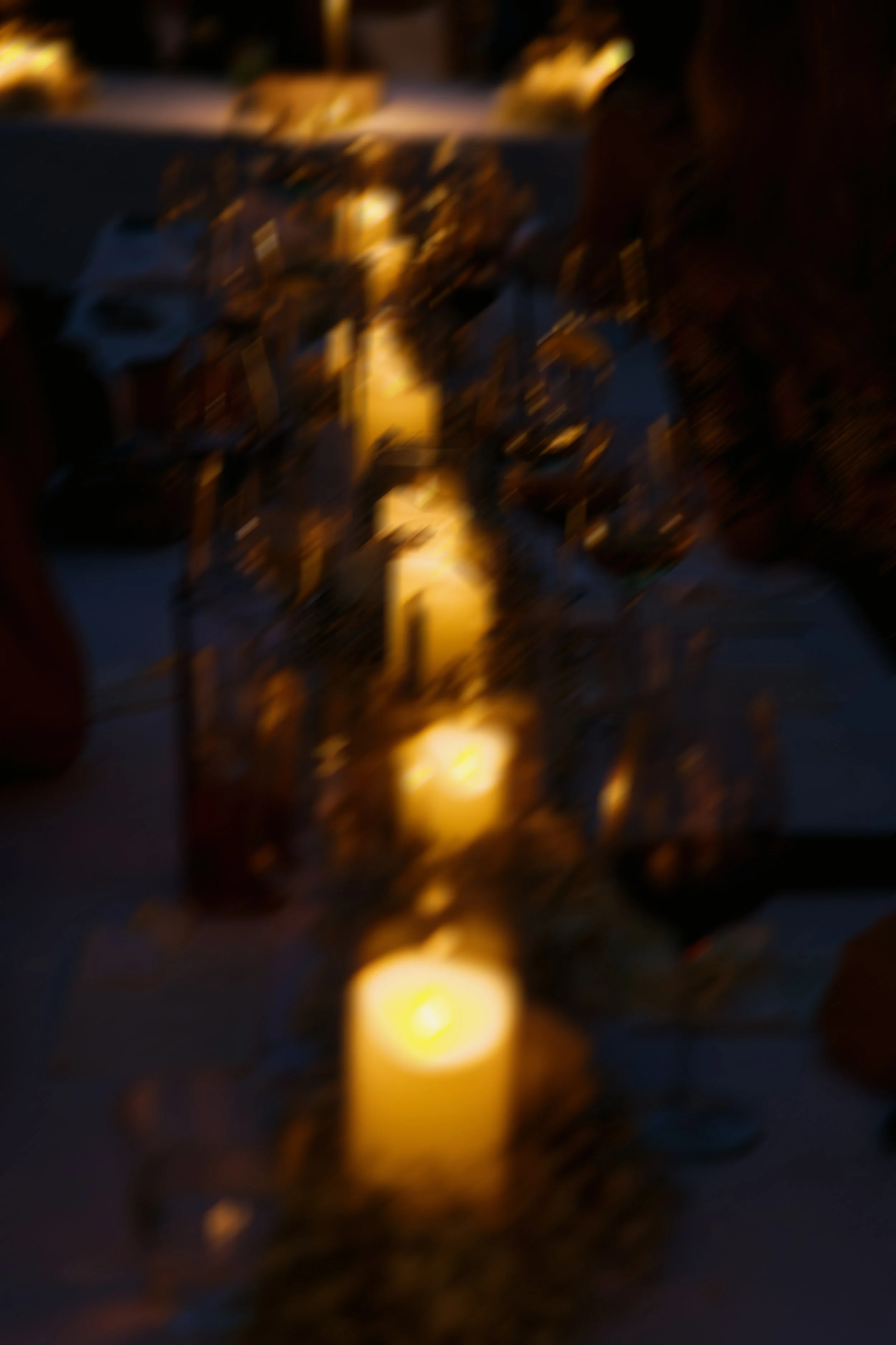 4A2A1219.2.jpg