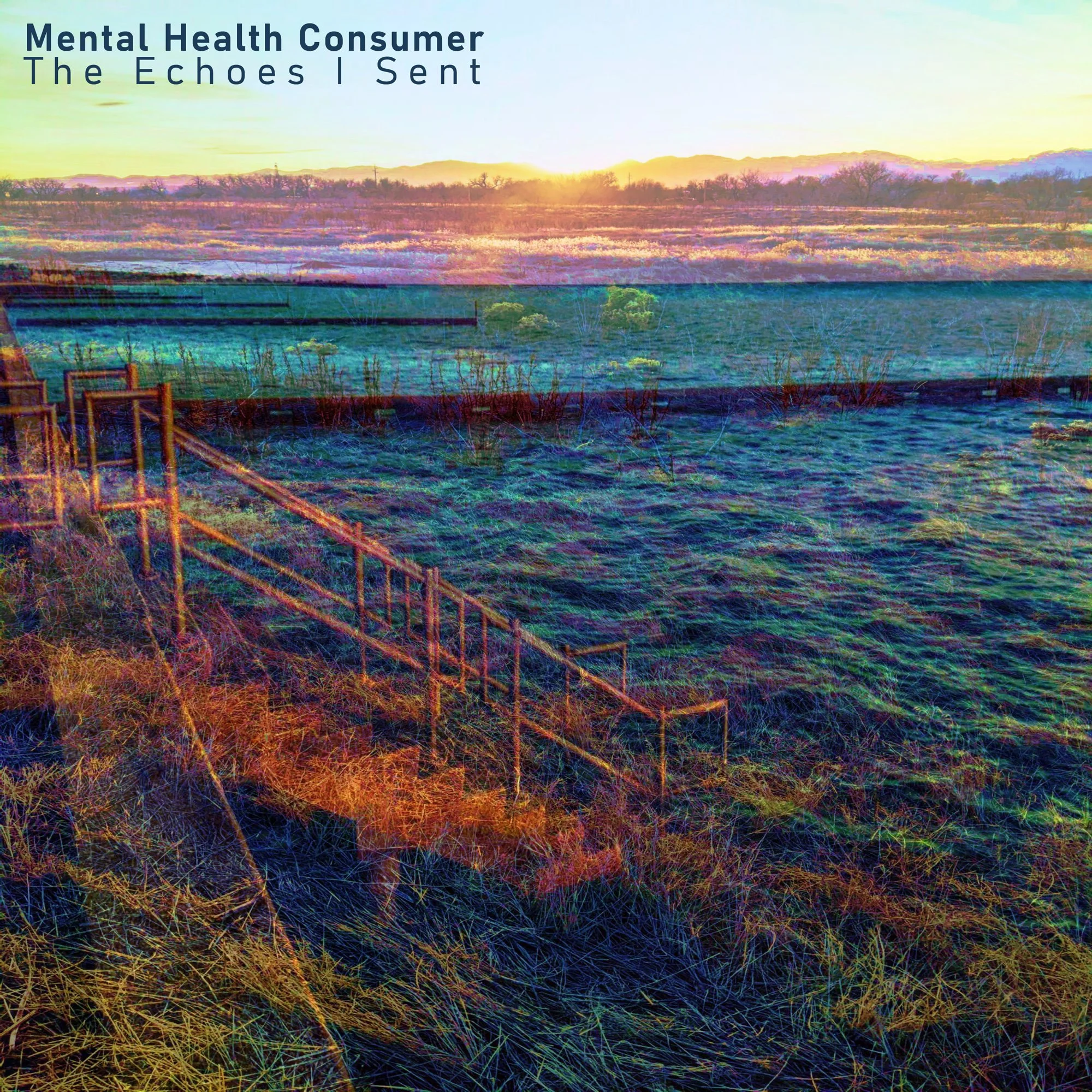 “The Echoes I Sent” - Mental Health Consumer