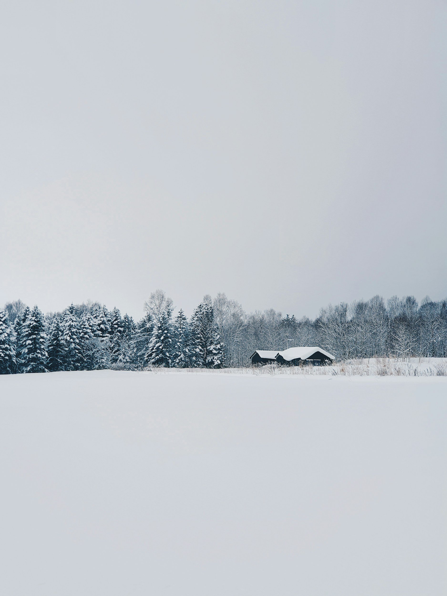 unsplash-image-mNkV0Ni5aJg.jpg