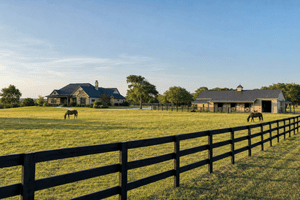 Buying Acreage in Weatherford: Horse Property Basics