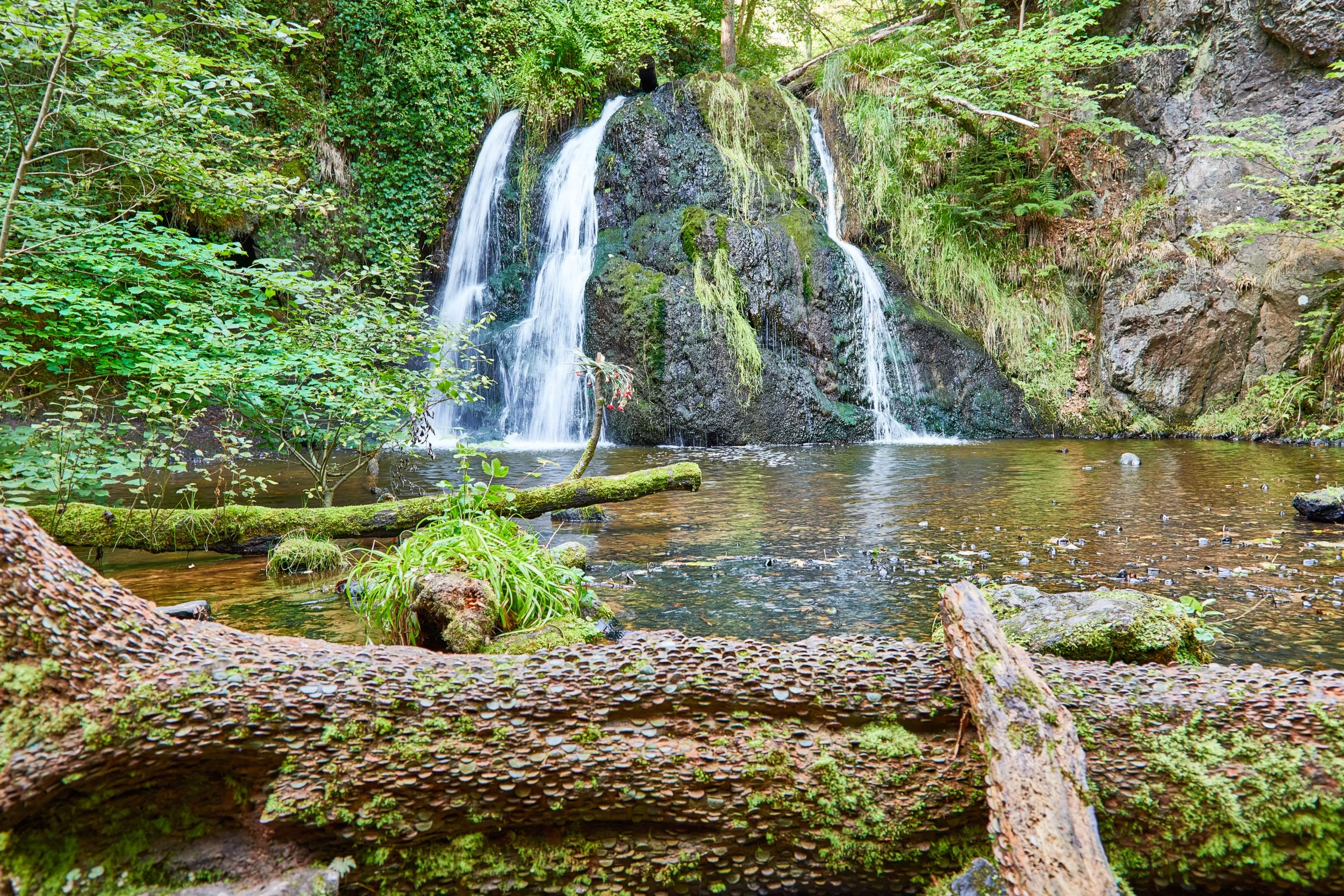 "Rosemarkie Faerie Pool"
