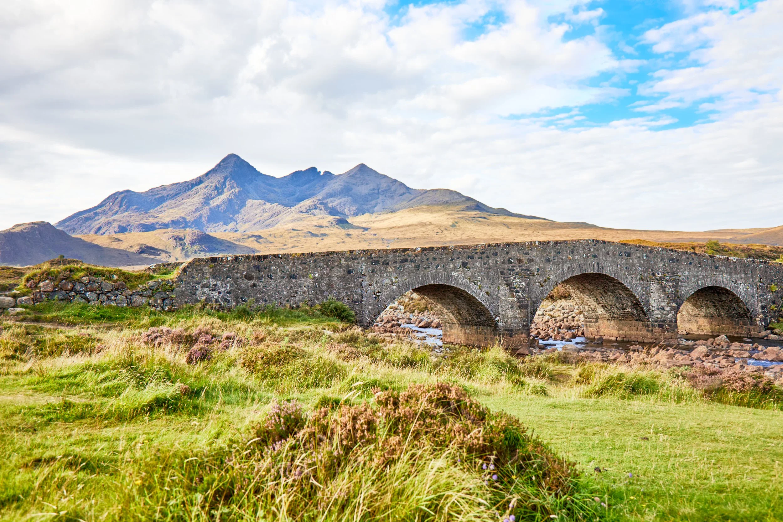 "Bridge over a Daughter's Tears"