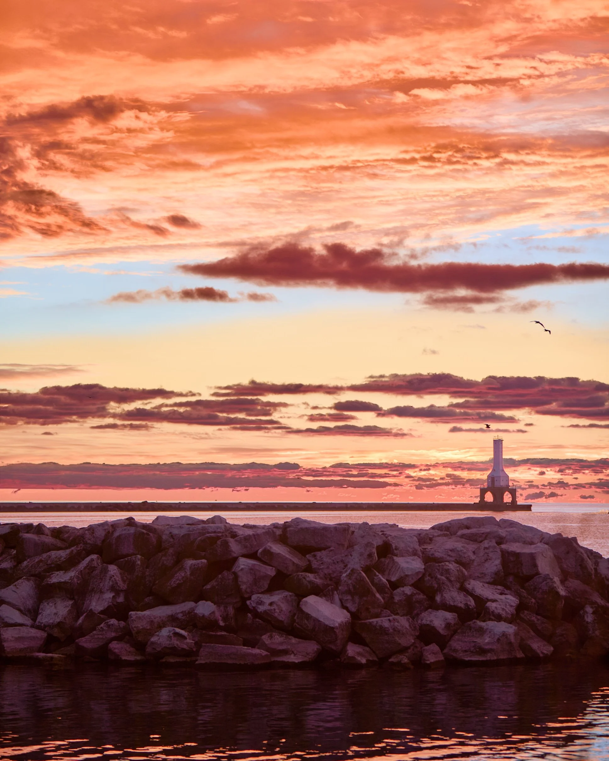 "A Light's New Dawn"