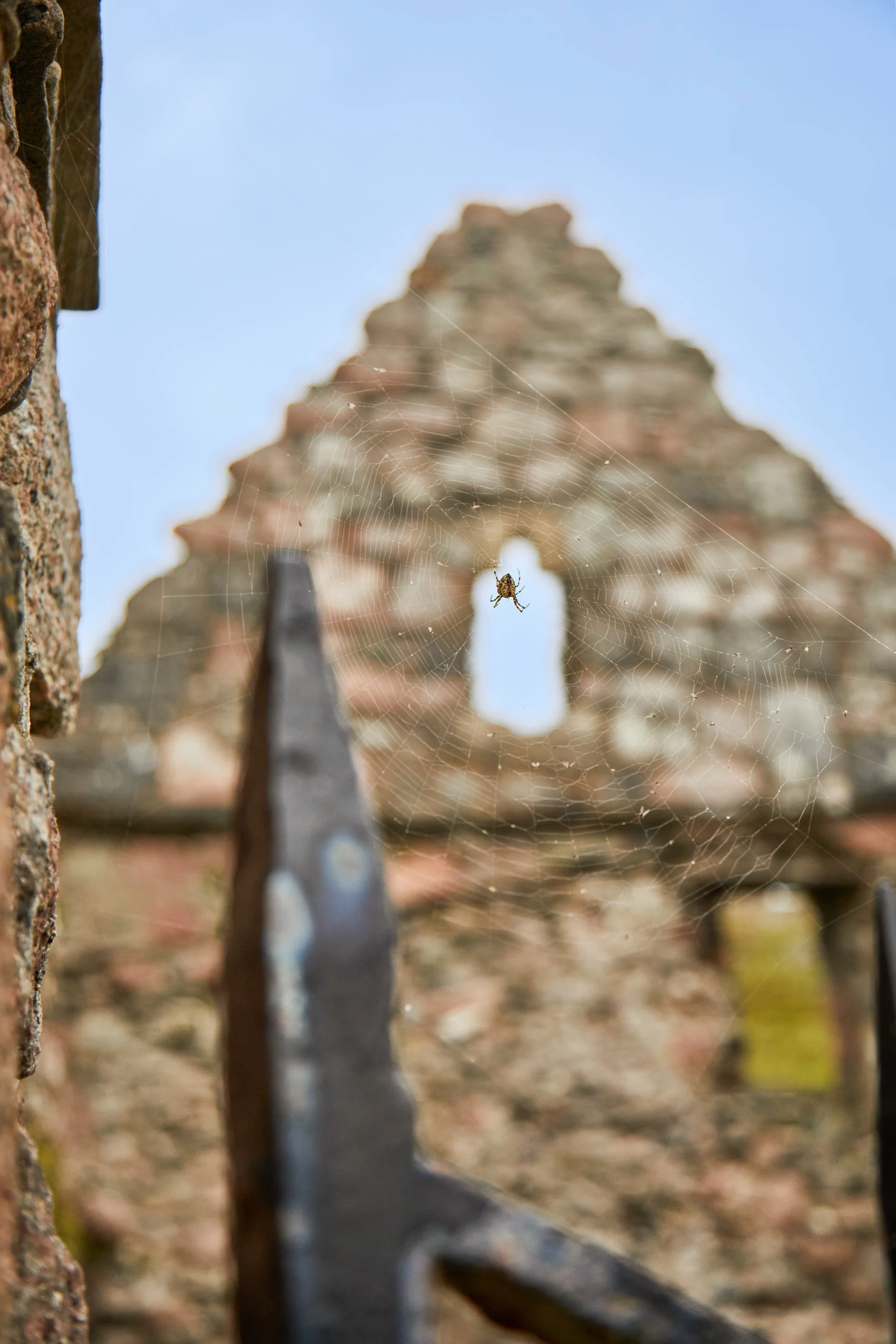 "Old Nunnery Spider"