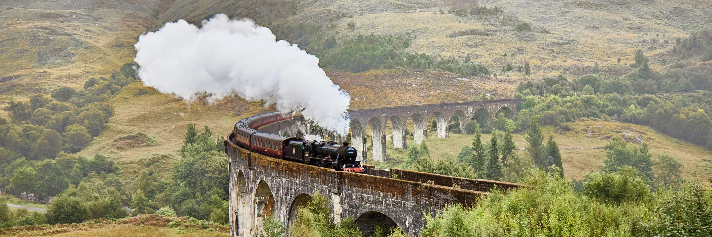 "Magical Locomotion" Panorama
