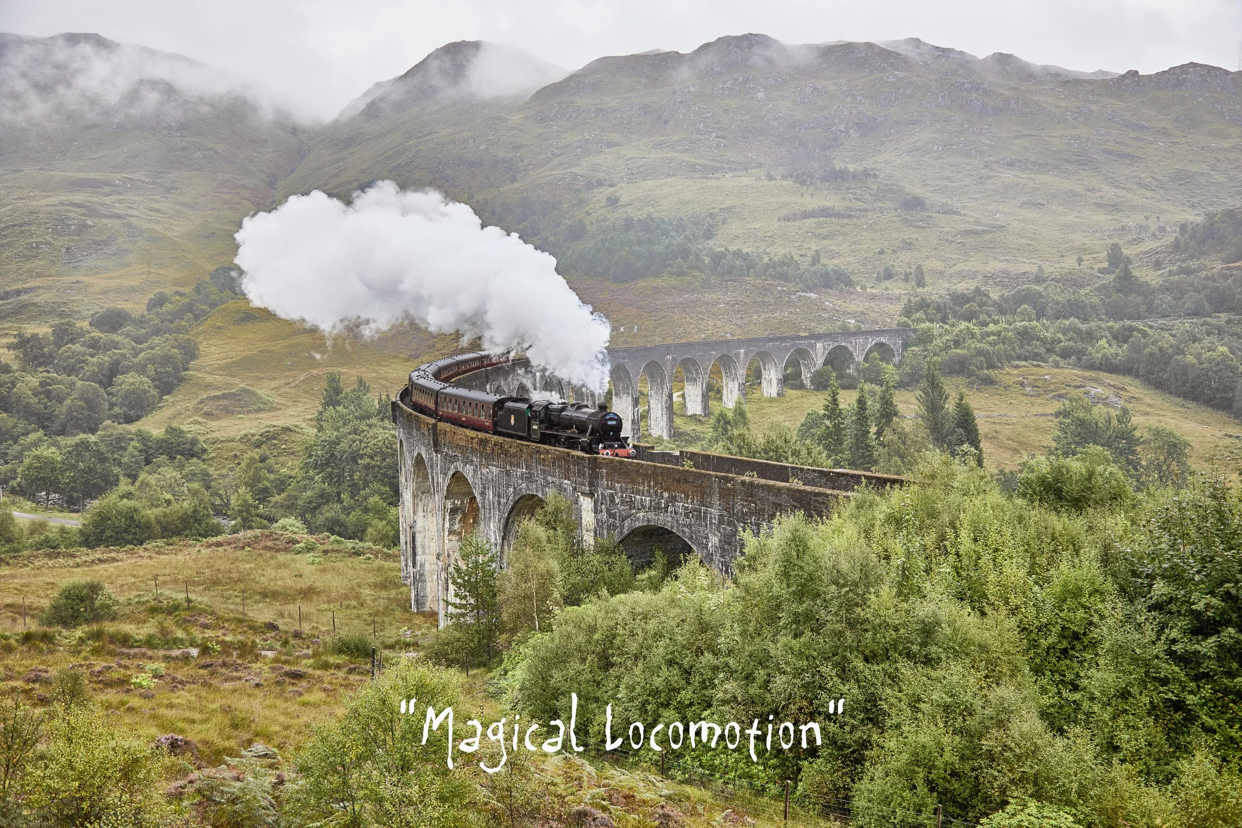 Magical Locomotion.jpg