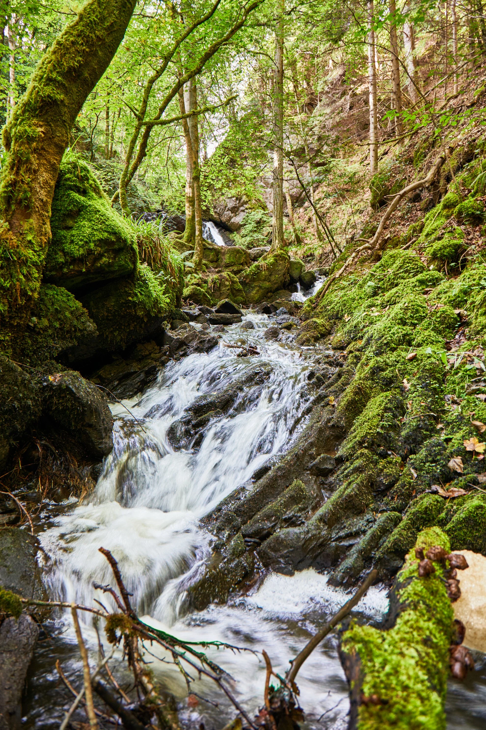 "Emerald Faerie Lair"
