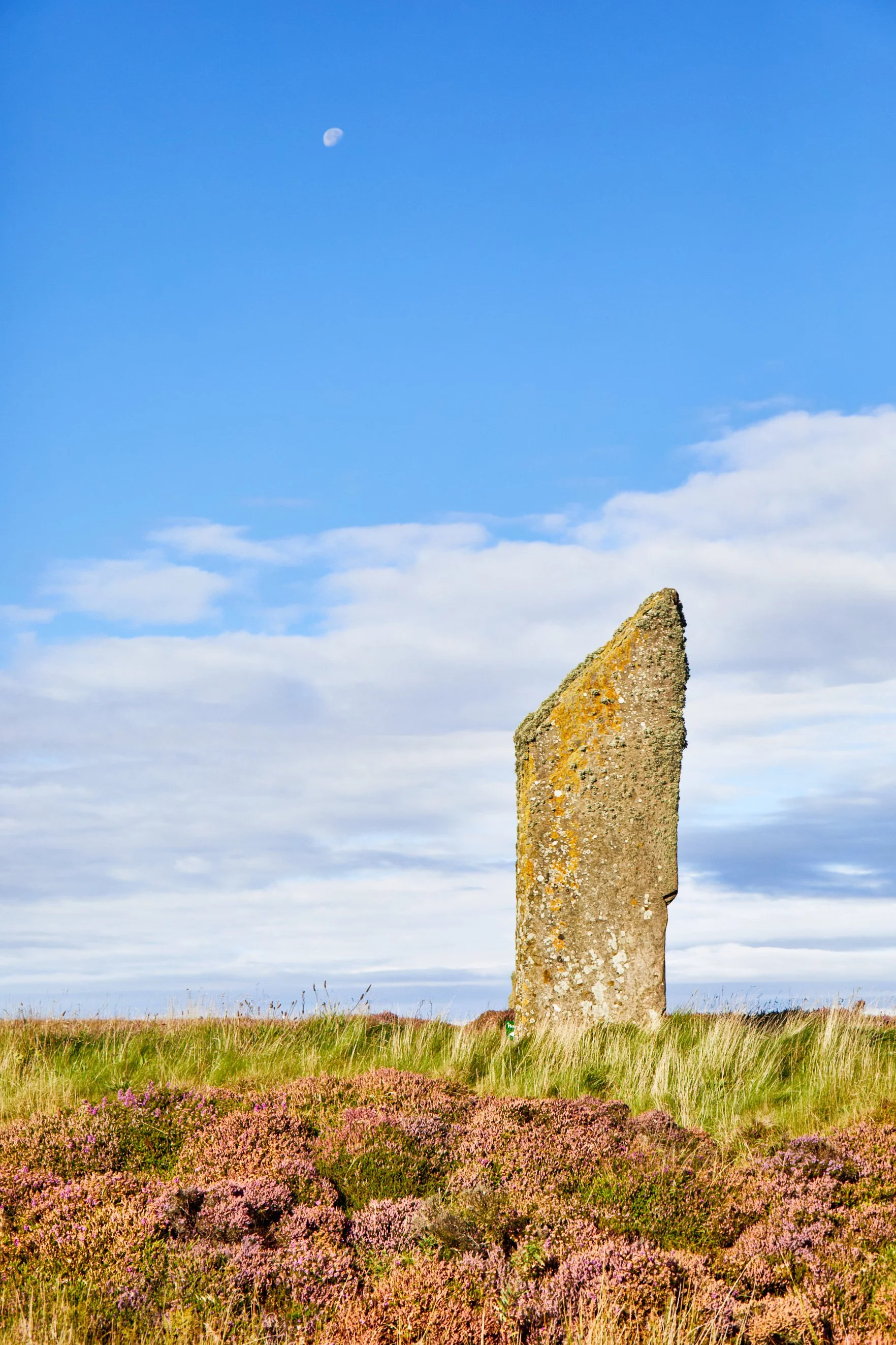 "Heather and Stone Moondance"