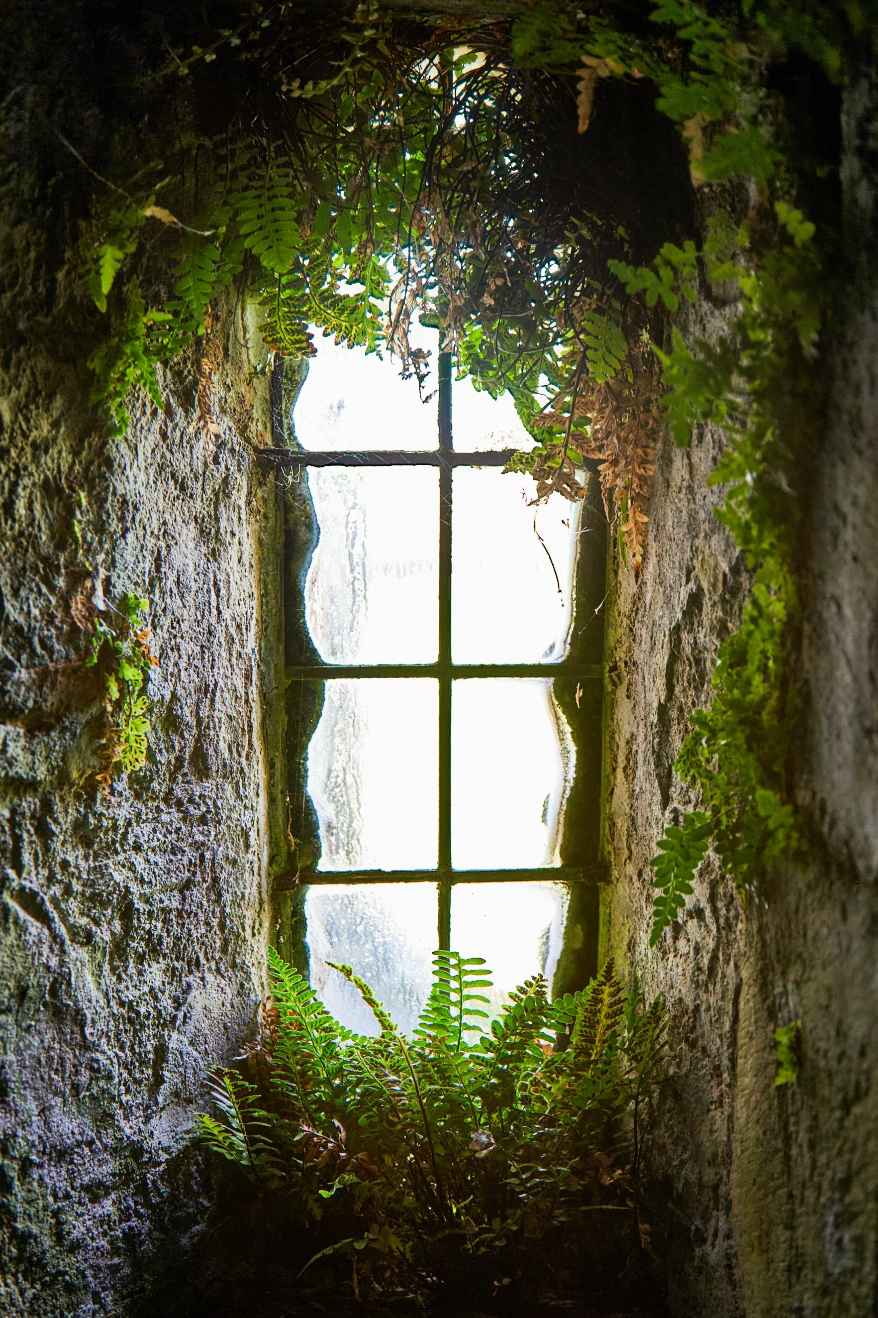 "Otherworldly Window"
